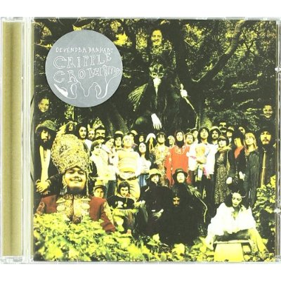 Devendra Banhart | Cripple Crow | Review