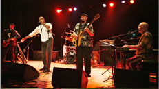 The GrandMothers of Invention Announce 2012 Spring Tour