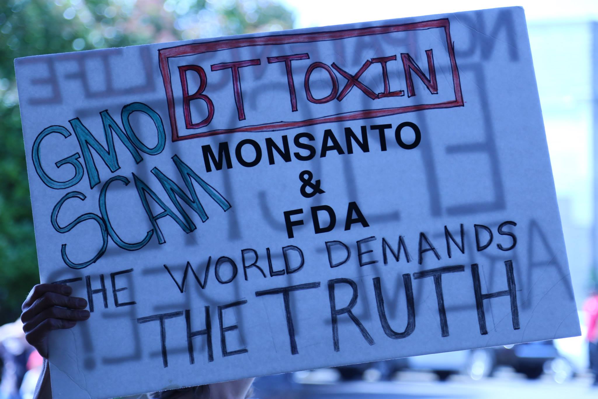 March Against Monsanto | 5/25/2013 | Eugene Oregon
