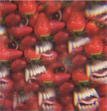 Thee Oh Sees "Floating Coffin" LP Tops CMJ Charts