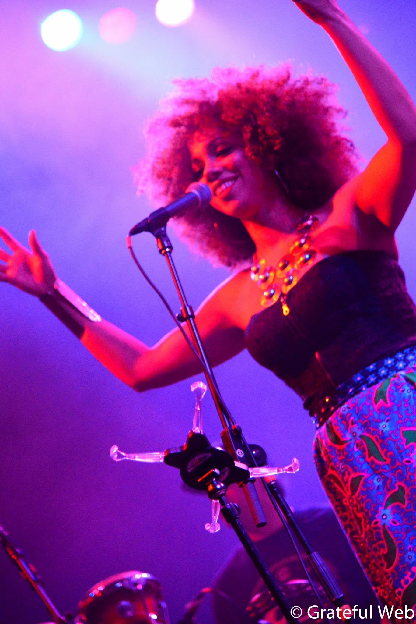 Orgone | Denver, Colorado
