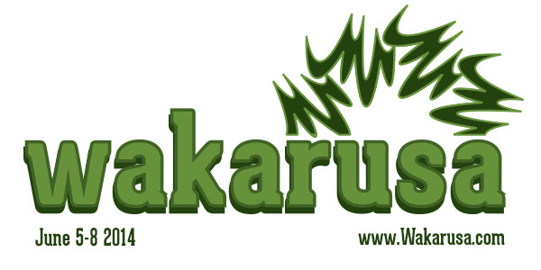 Wakarusa Music Festival Gives Back: BLVD To A Better World