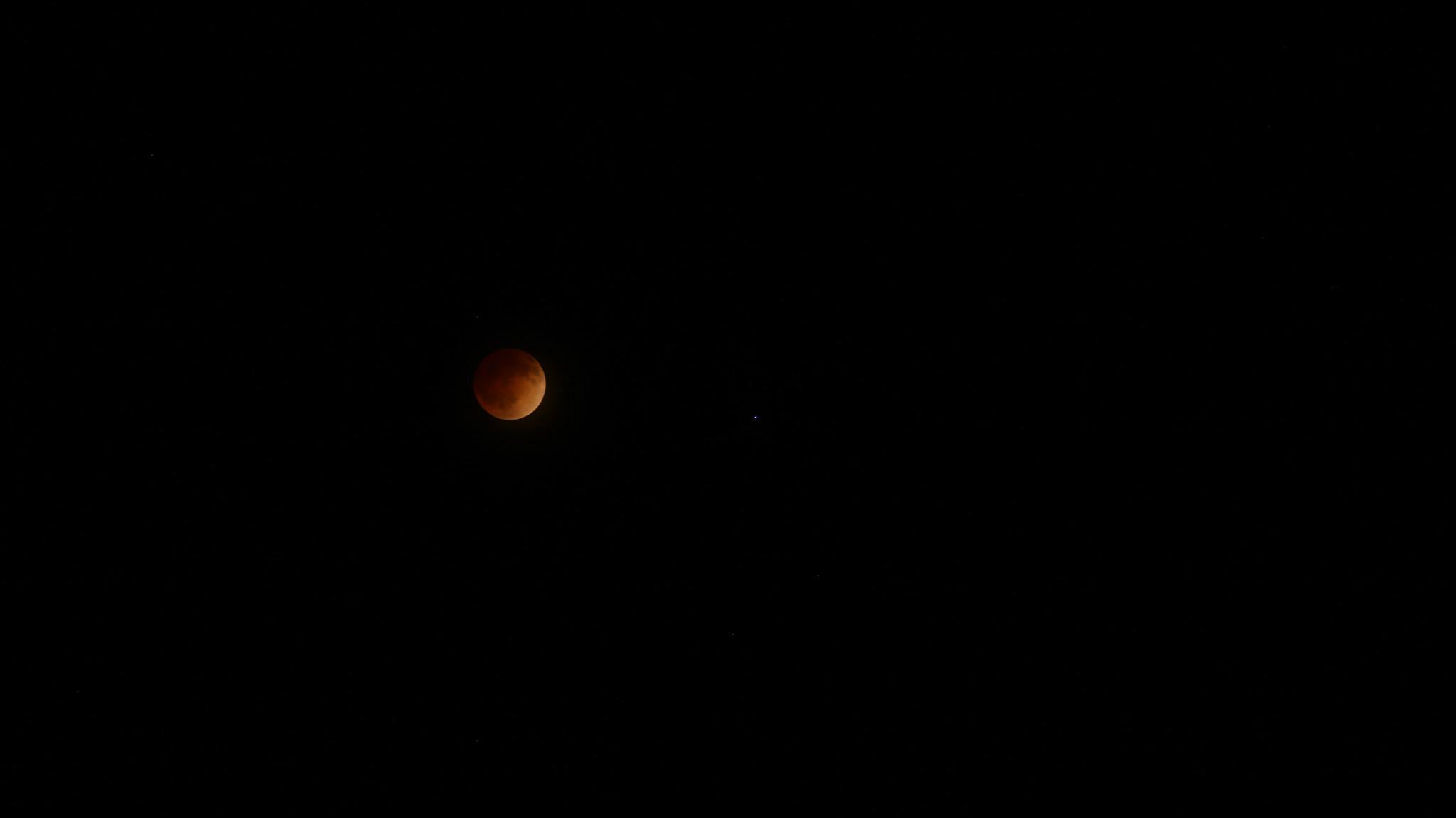 Lunar Eclipse | 4/14/14