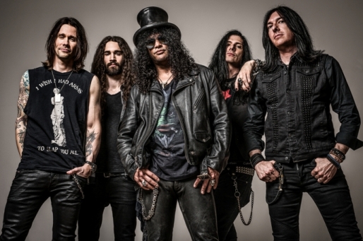 SLASH Partners With The International Fund For Animal Welfare