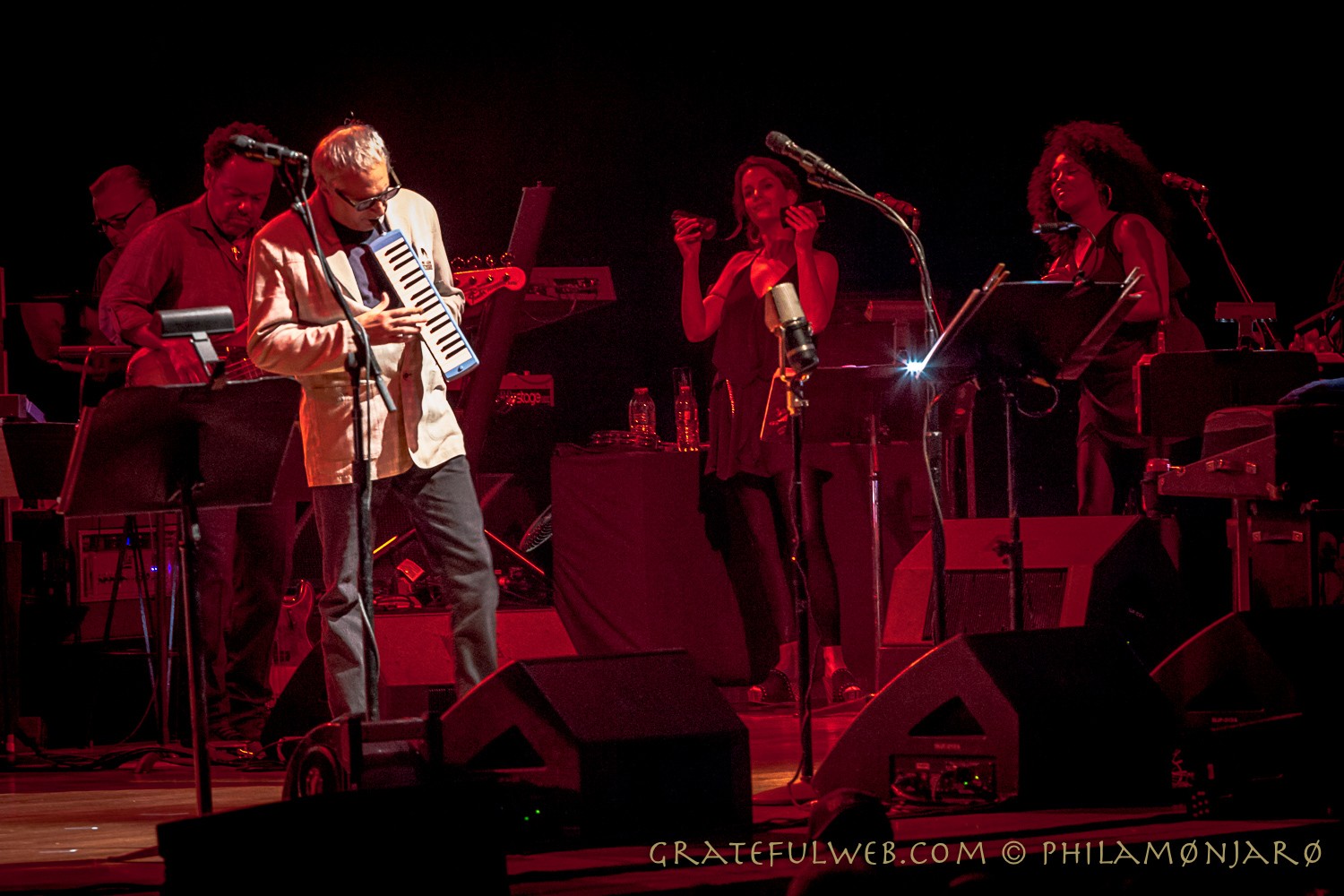 Steely Dan | Ravinia Festival | Highland Park, IL | 7/24/15