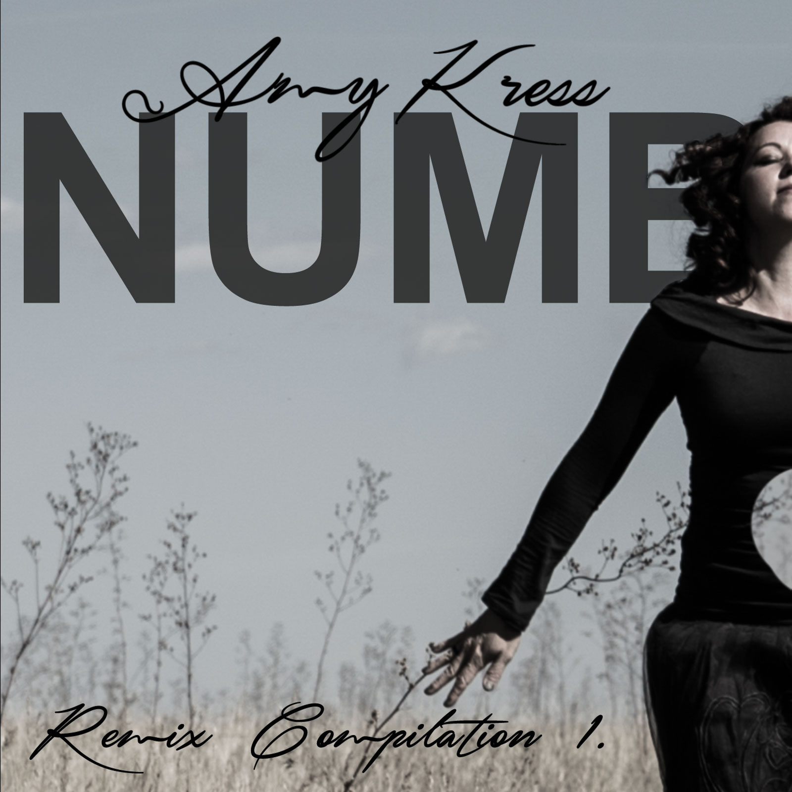 Amy Kress Rounds Up a Fleet of Producers for "Numb" Remix