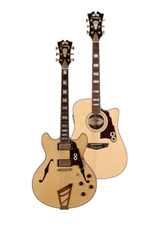 D'Angelico Guitar in Charity Auction at Lockn'