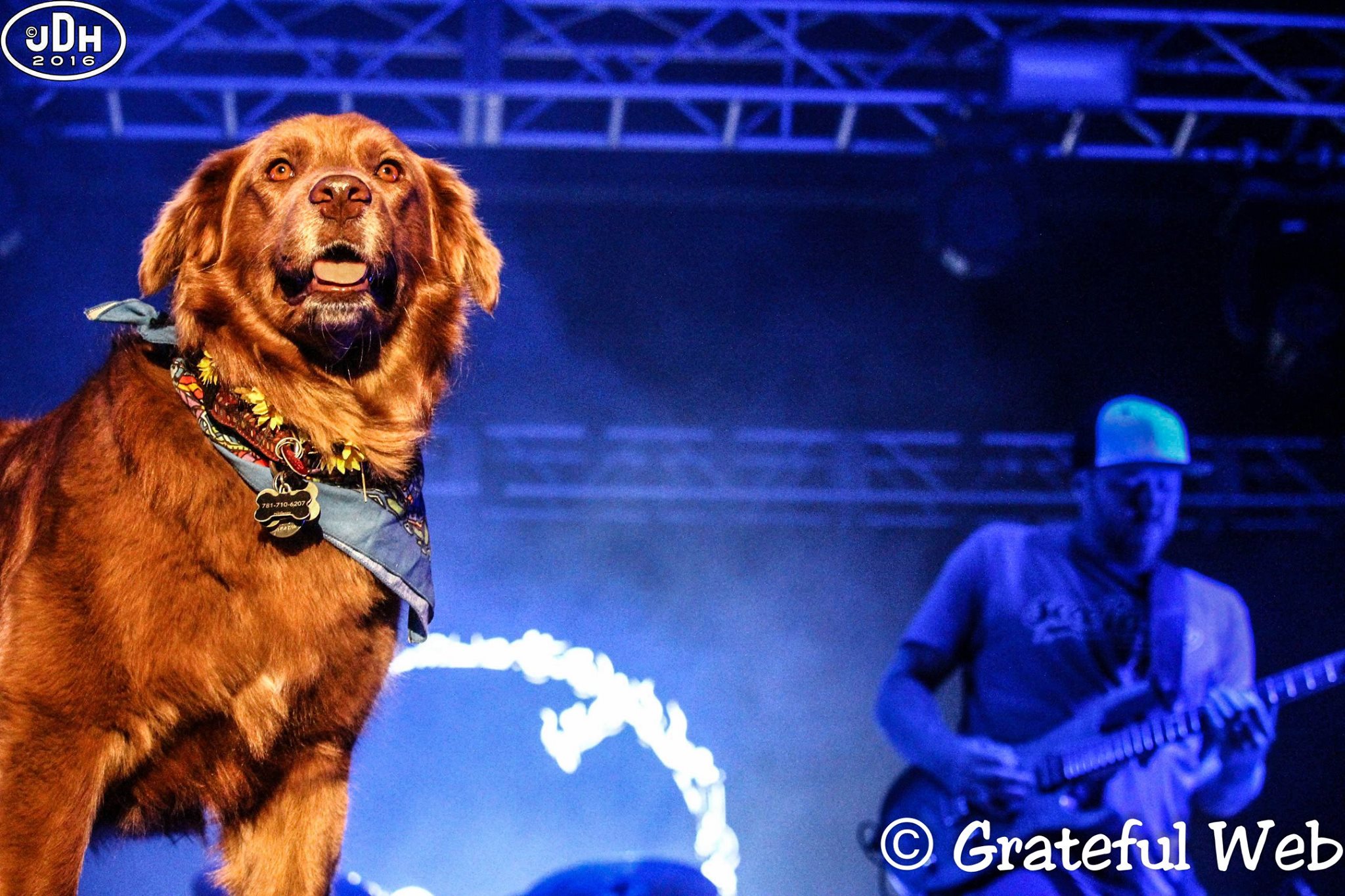 California Roots Music & Art Festival | Monterey, CA
