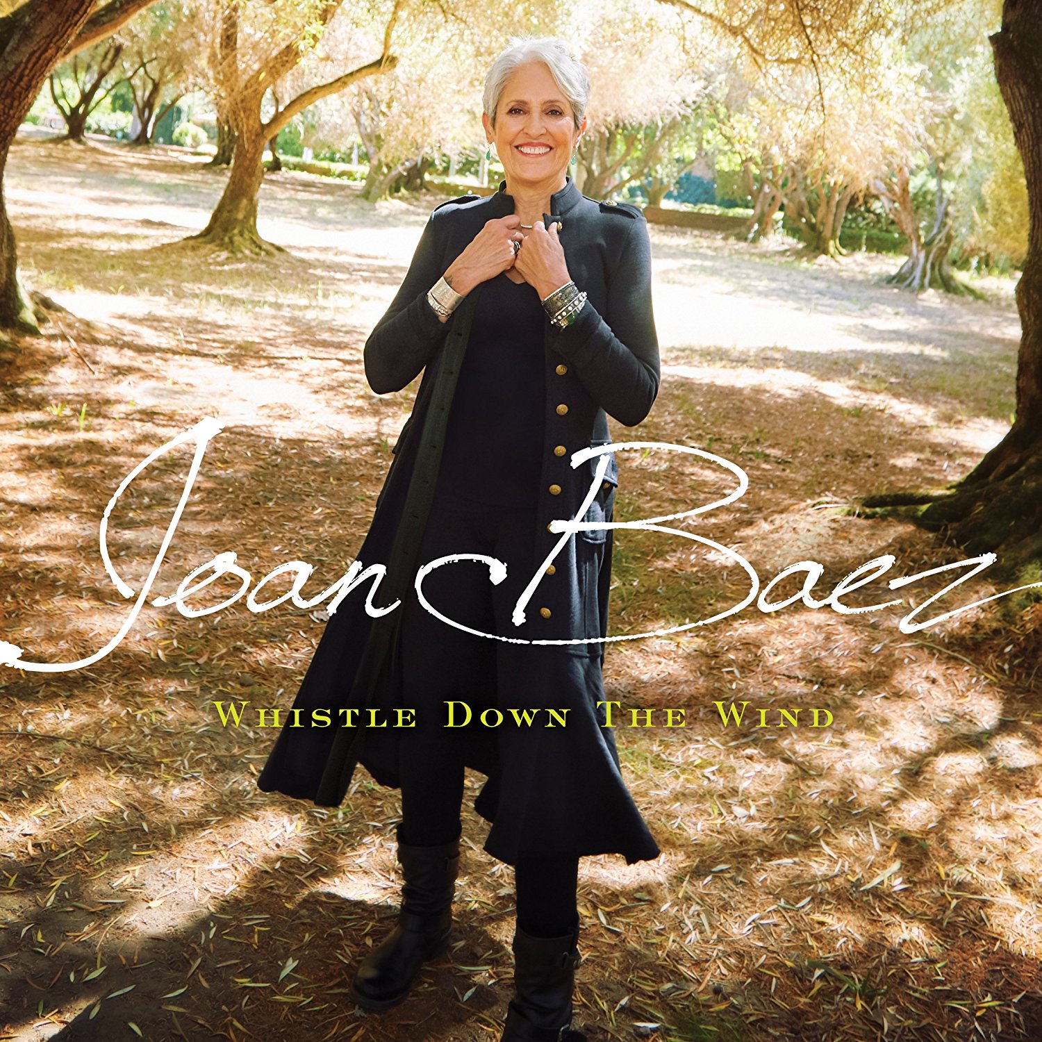 Joan Baez's new album "Whistle Down The Wind" out March 2