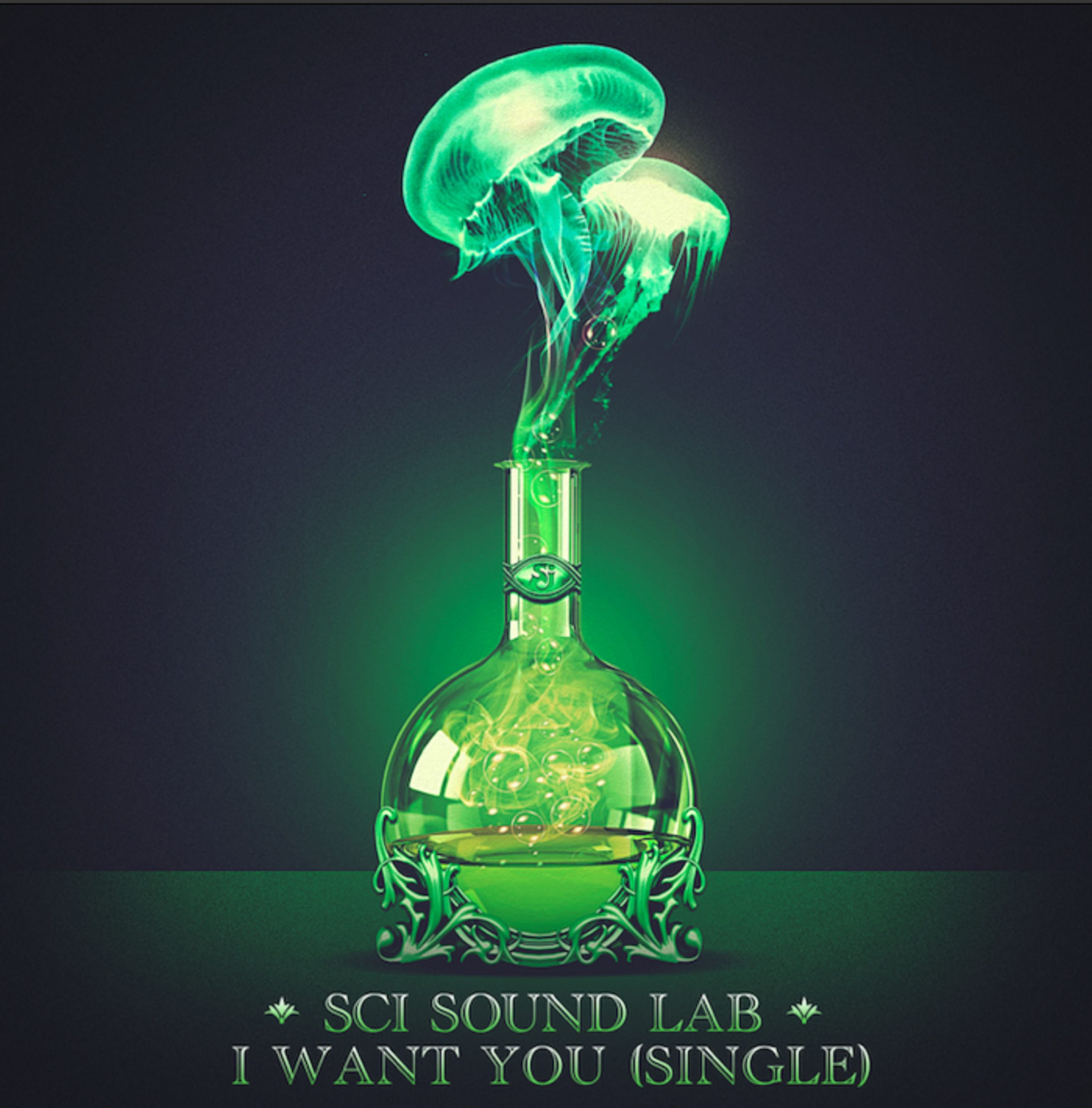 The String Cheese Incident Release New Single "I Want You" + Video