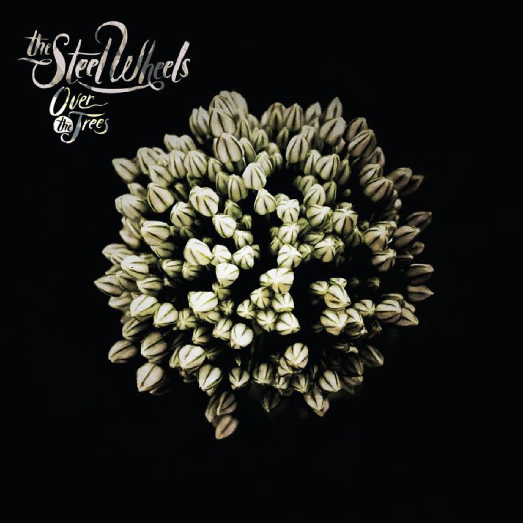 The Steel Wheels Announce 7th Album 'Over The Trees'