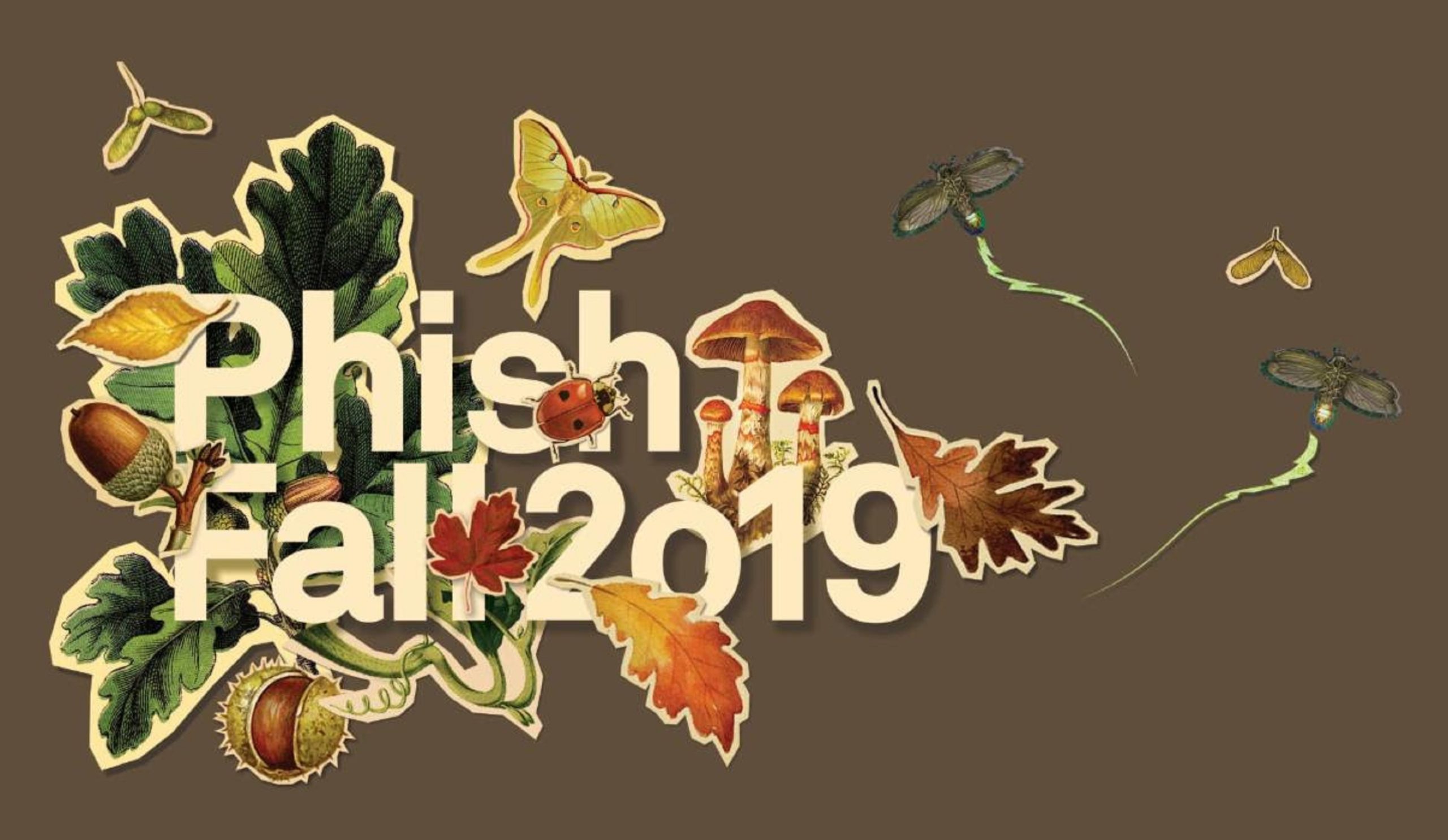 Phish announce fall 2019 tour