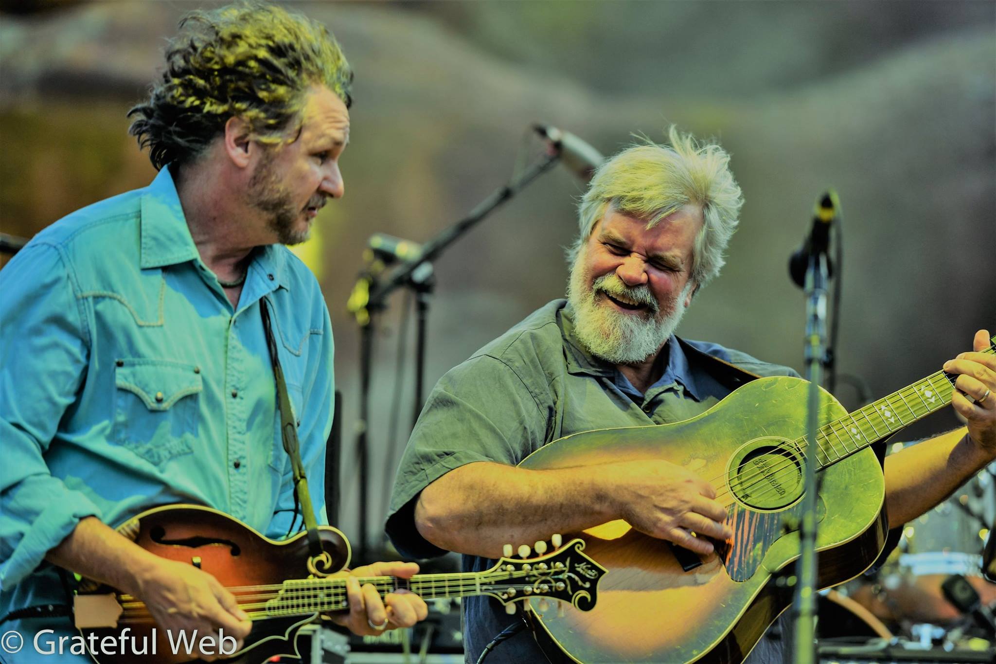 Grateful Web Interview with Vince Herman – 2020