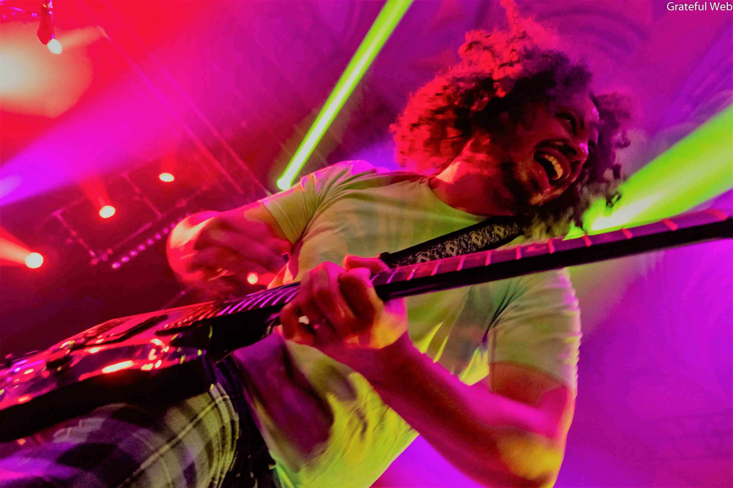 Pigeons Playing Ping Pong | Fremont Theater SLO | 2/12/2020