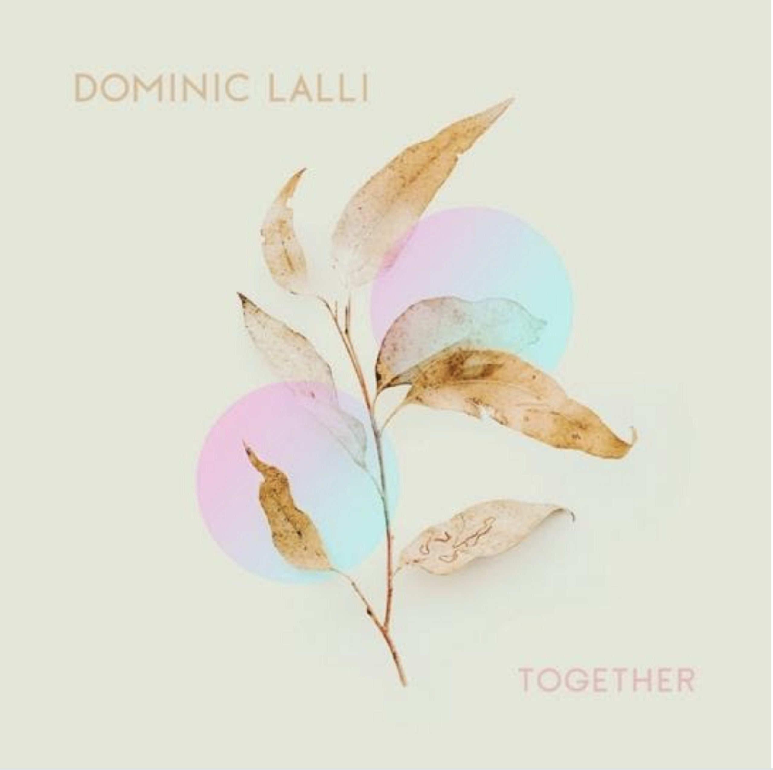 Dominic Lalli of Big Gigantic releases new single benefitting Black Lives Matter
