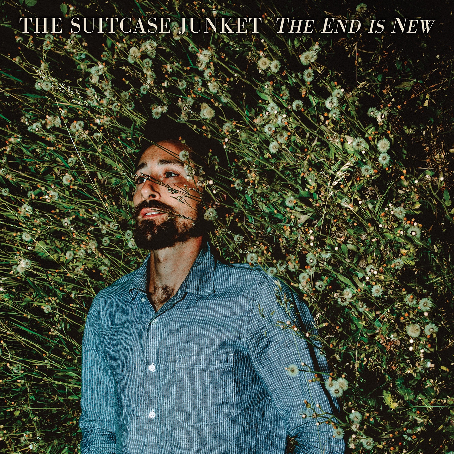 The Suitcase Junket Releases Searing New Track and Video