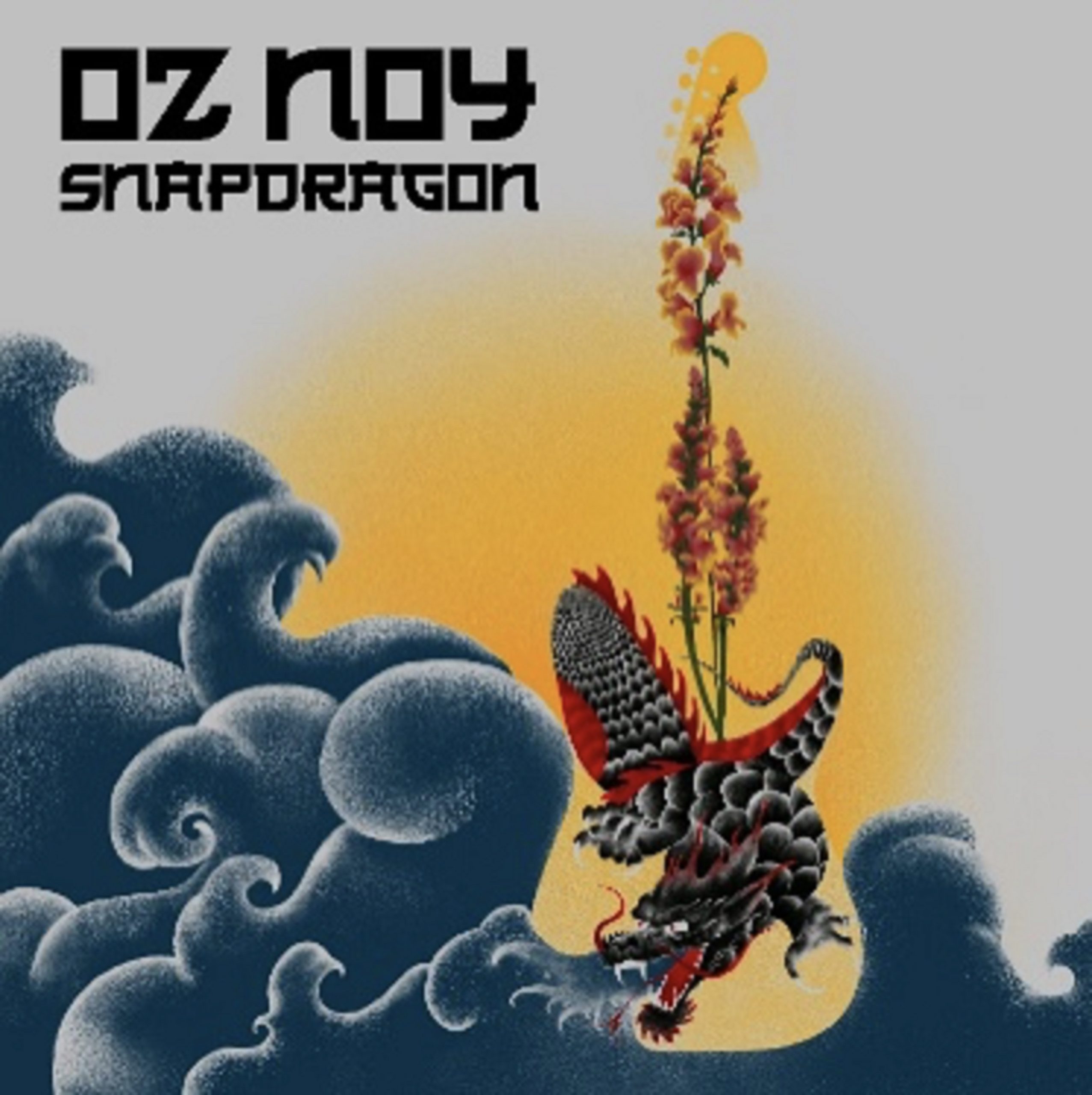 'Looni Tooni' Debut Track from OZ NOYs Snapdragon