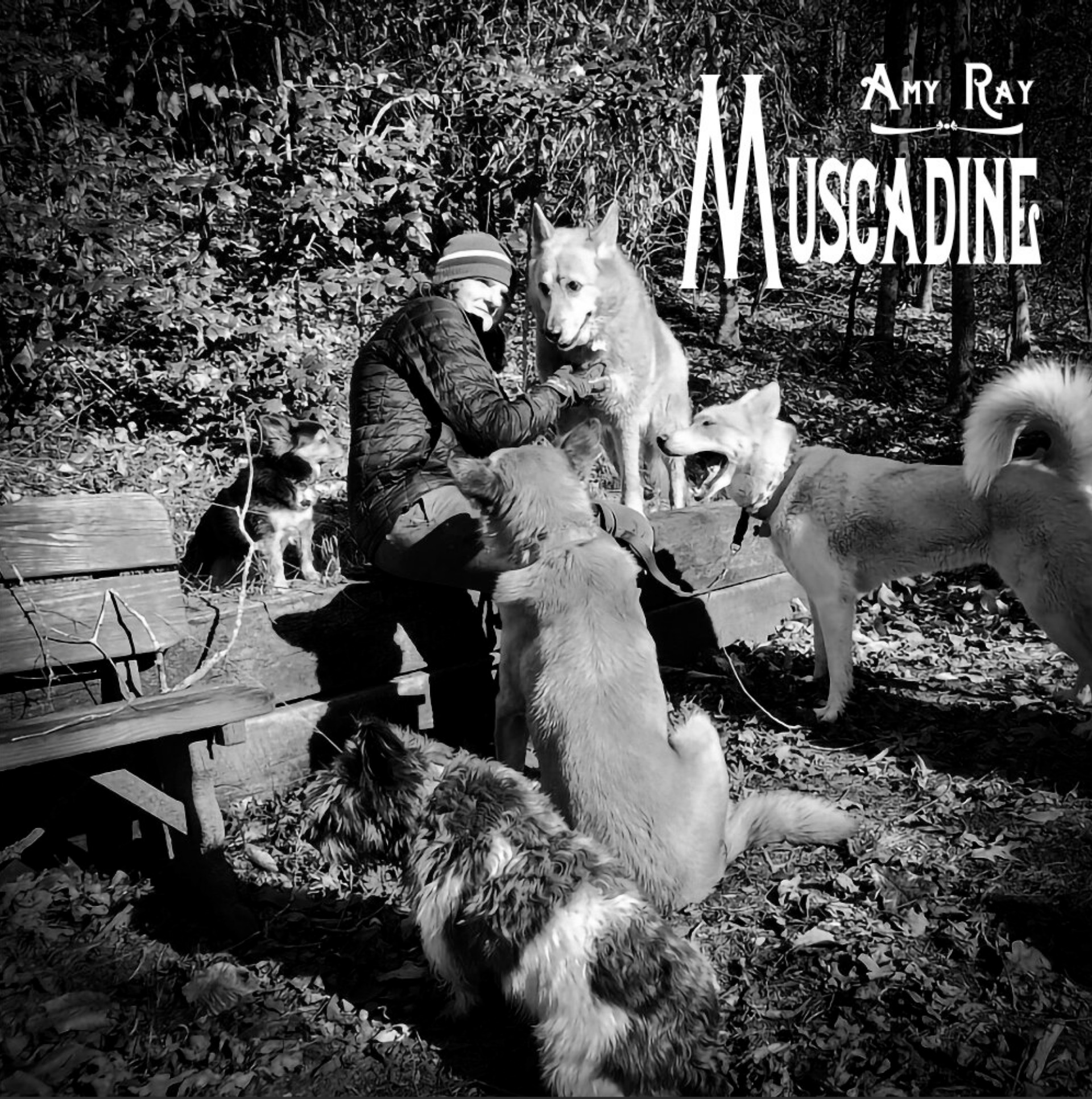 Amy Ray shares new video for "Muscadine"