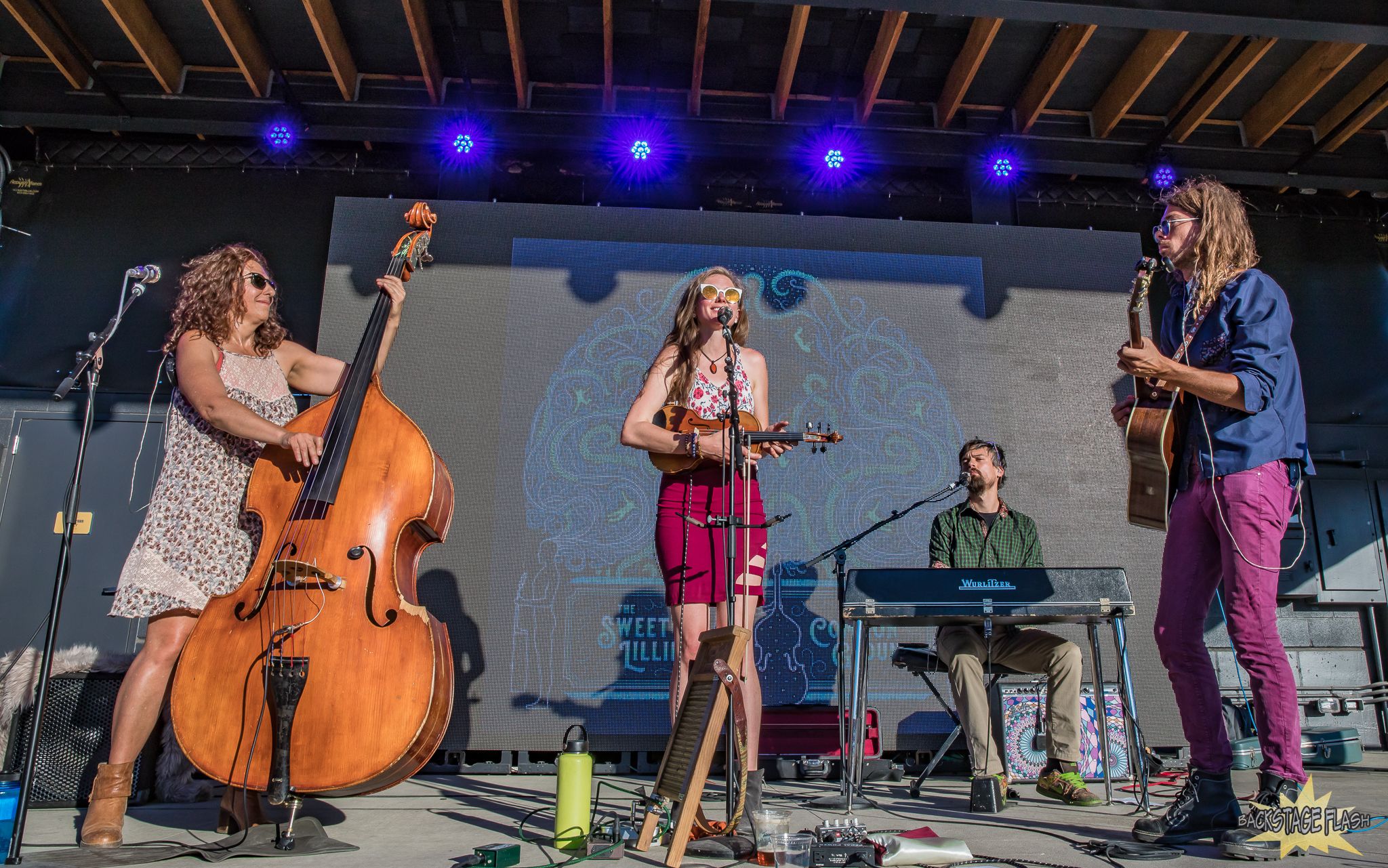 The Sweet Lillies | Number Thirty Eight | 6/4/2021