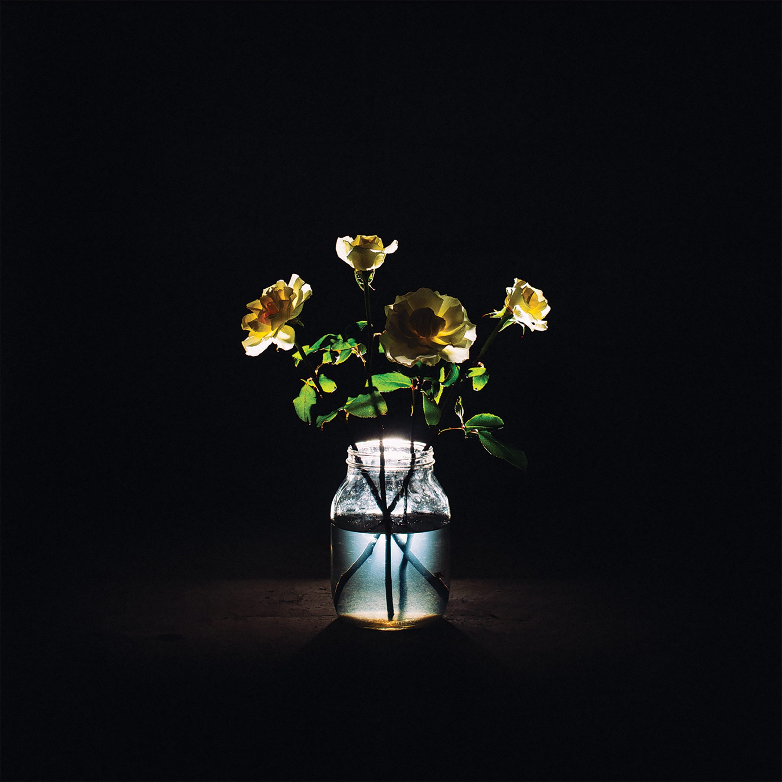 Billy Strings’ new album "Renewal" out today