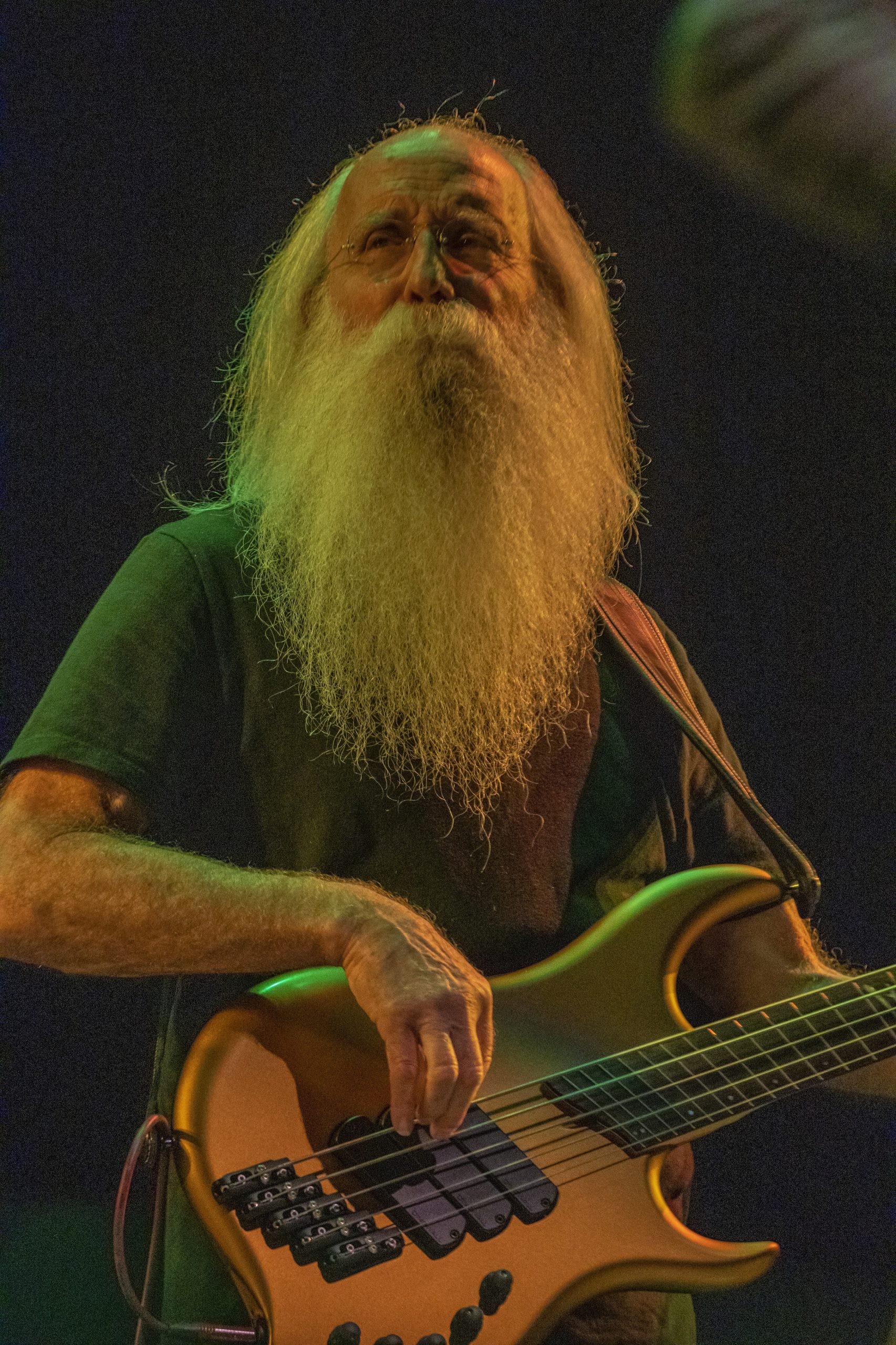 The Immediate Family | Lobero Theatre | 11/12/21