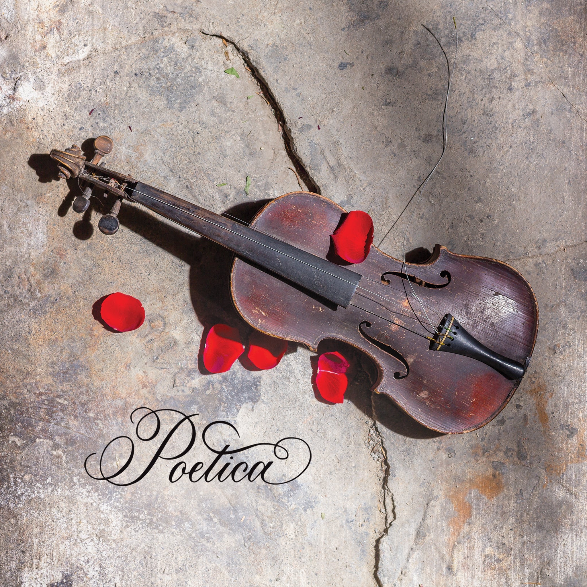 Poetica Releases Official Video For "Sleep When I'm Tired"