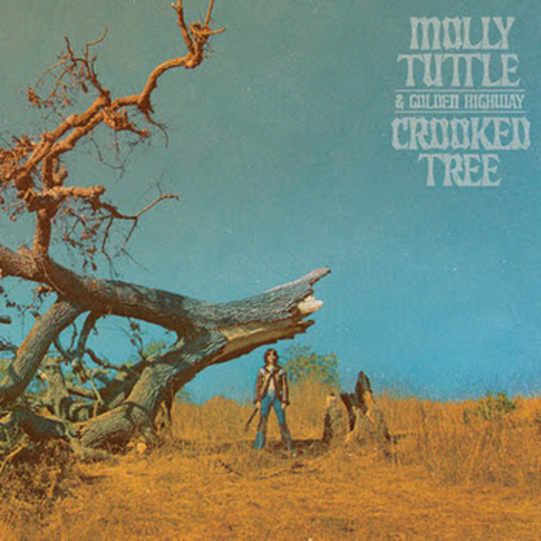 Molly Tuttle & Golden Highway’s new song “Dooley’s Farm” feat. Billy Strings debuts today