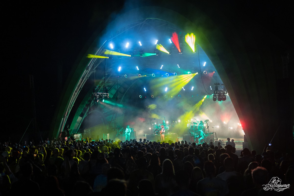 Goose | The Chrysalis at Merriweather Park | 8/12/2022