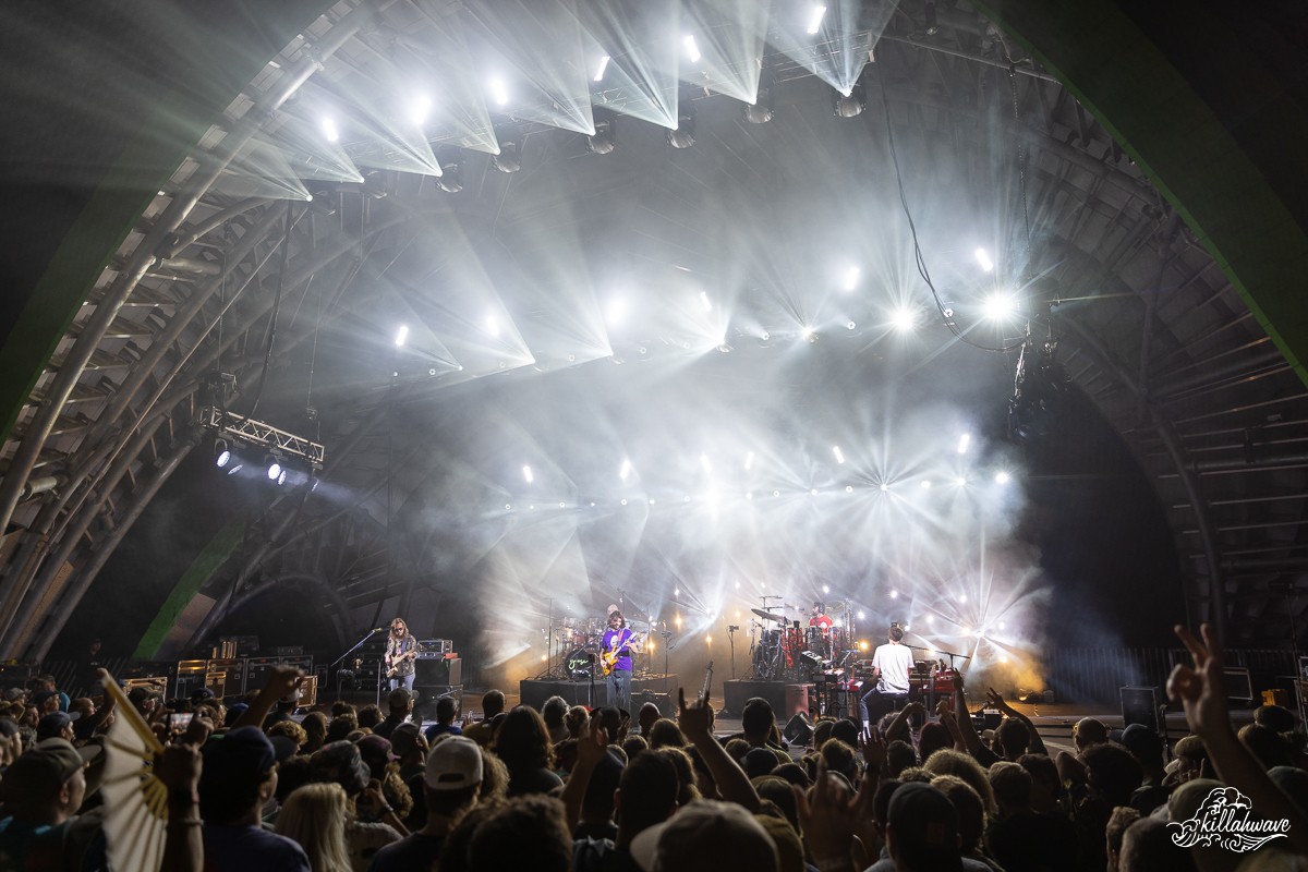 Goose | The Chrysalis at Merriweather Park | 8/13/2022