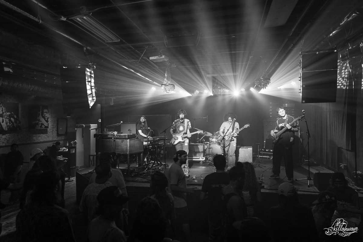 Dogs in a Pile | Cervantes Other Side | 9/2/2022