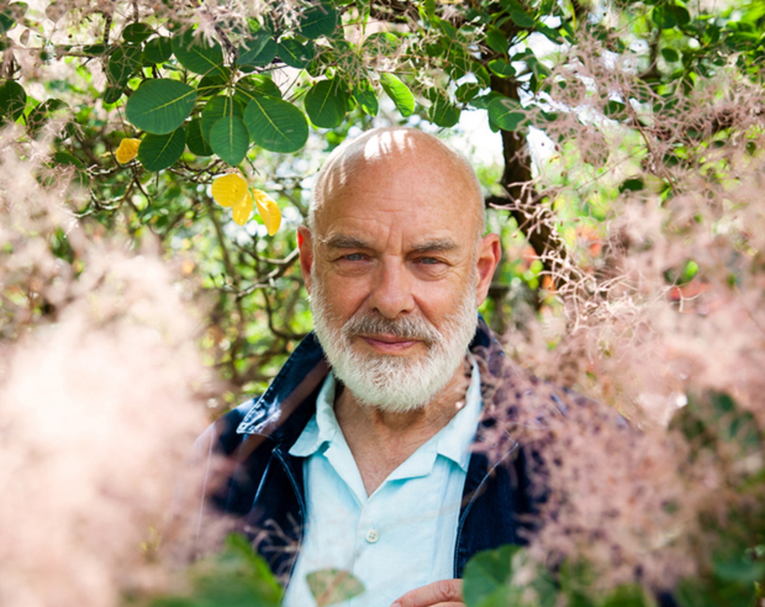 BRIAN ENO DEBUTS LATEST SINGLE “WE LET IT IN” WITH VIDEO