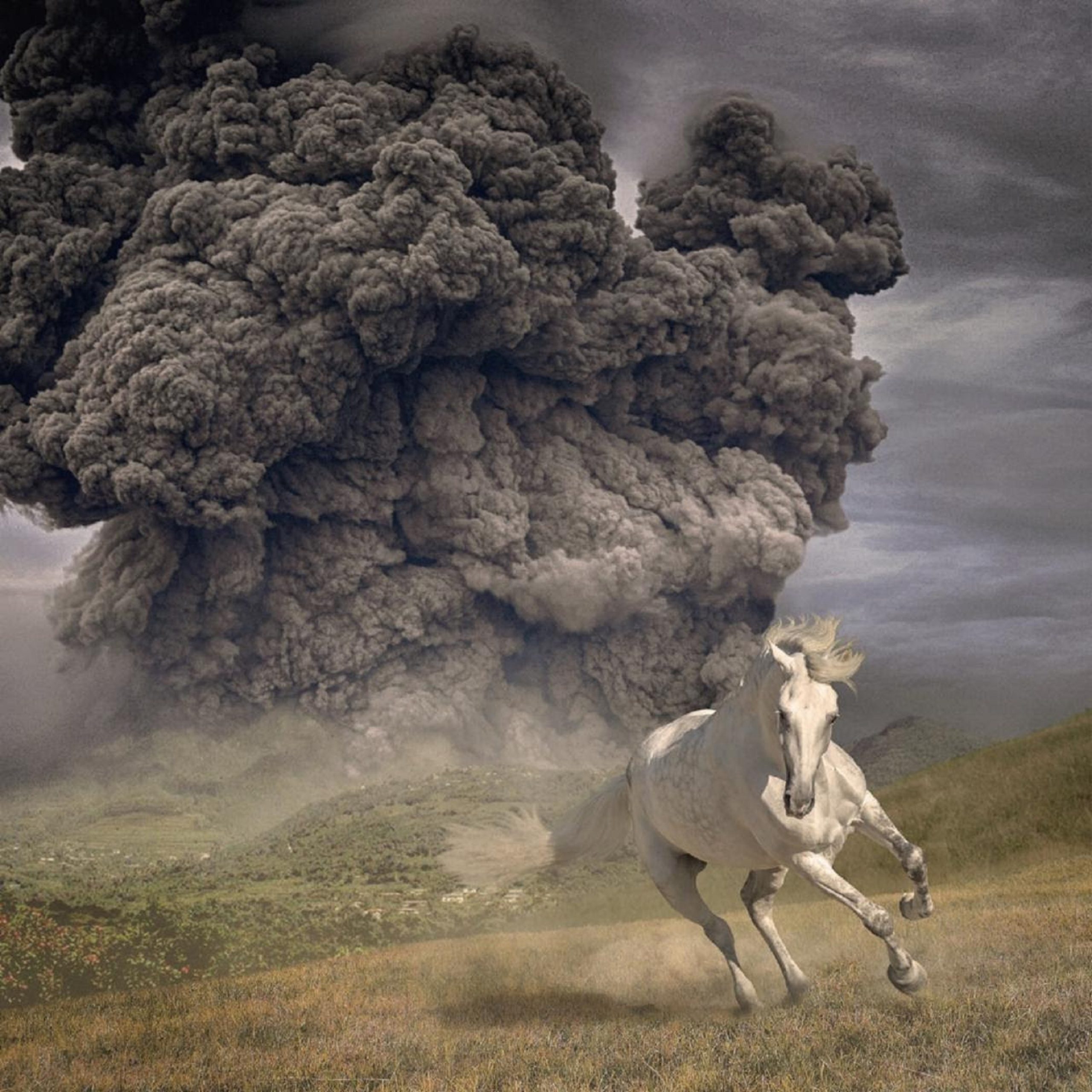 The White Buffalo: New Album 'Year of the Dark Horse' Out Today on Snakefarm Records