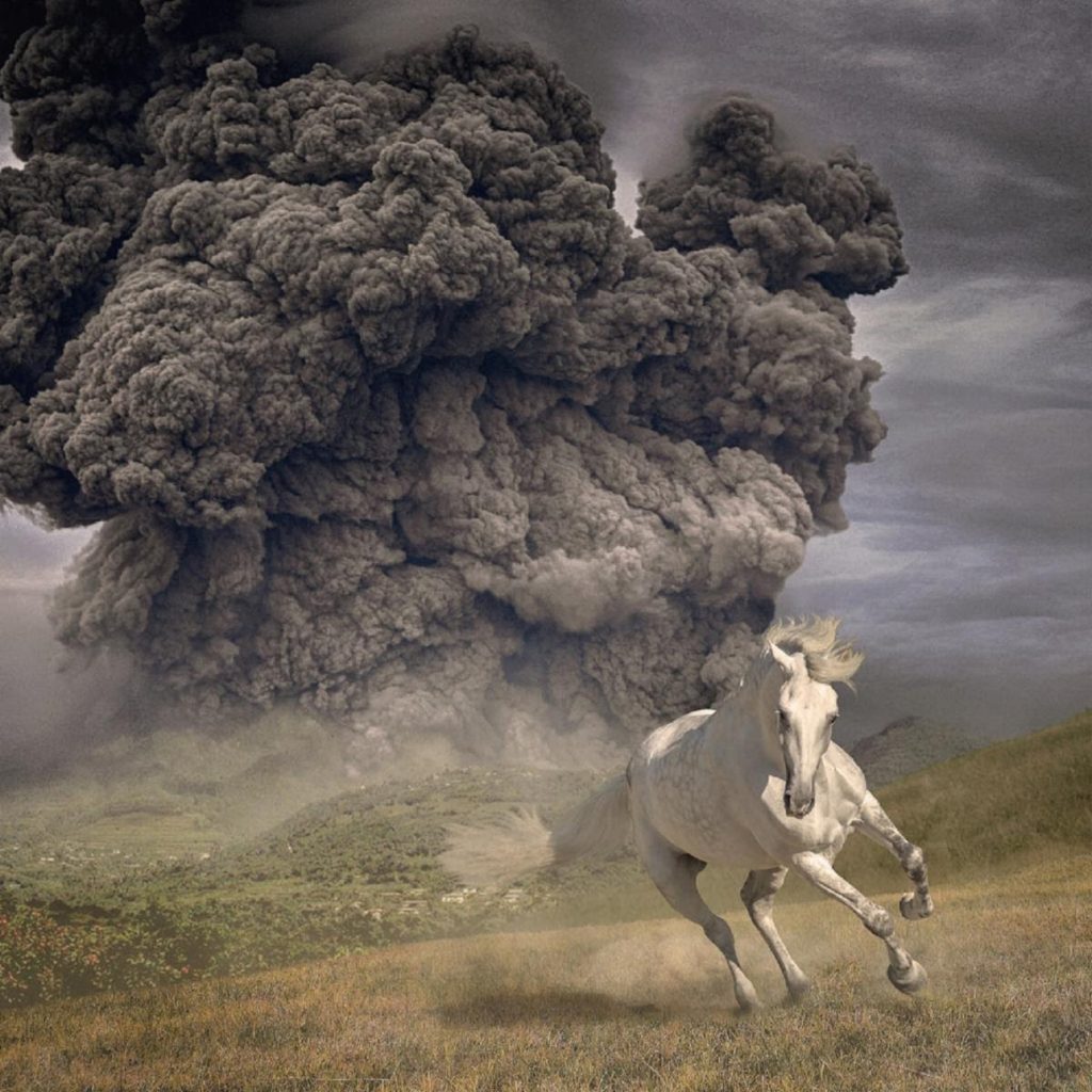 The White Buffalo: New Album 'Year of the Dark Horse' Out Today on Snakefarm Records