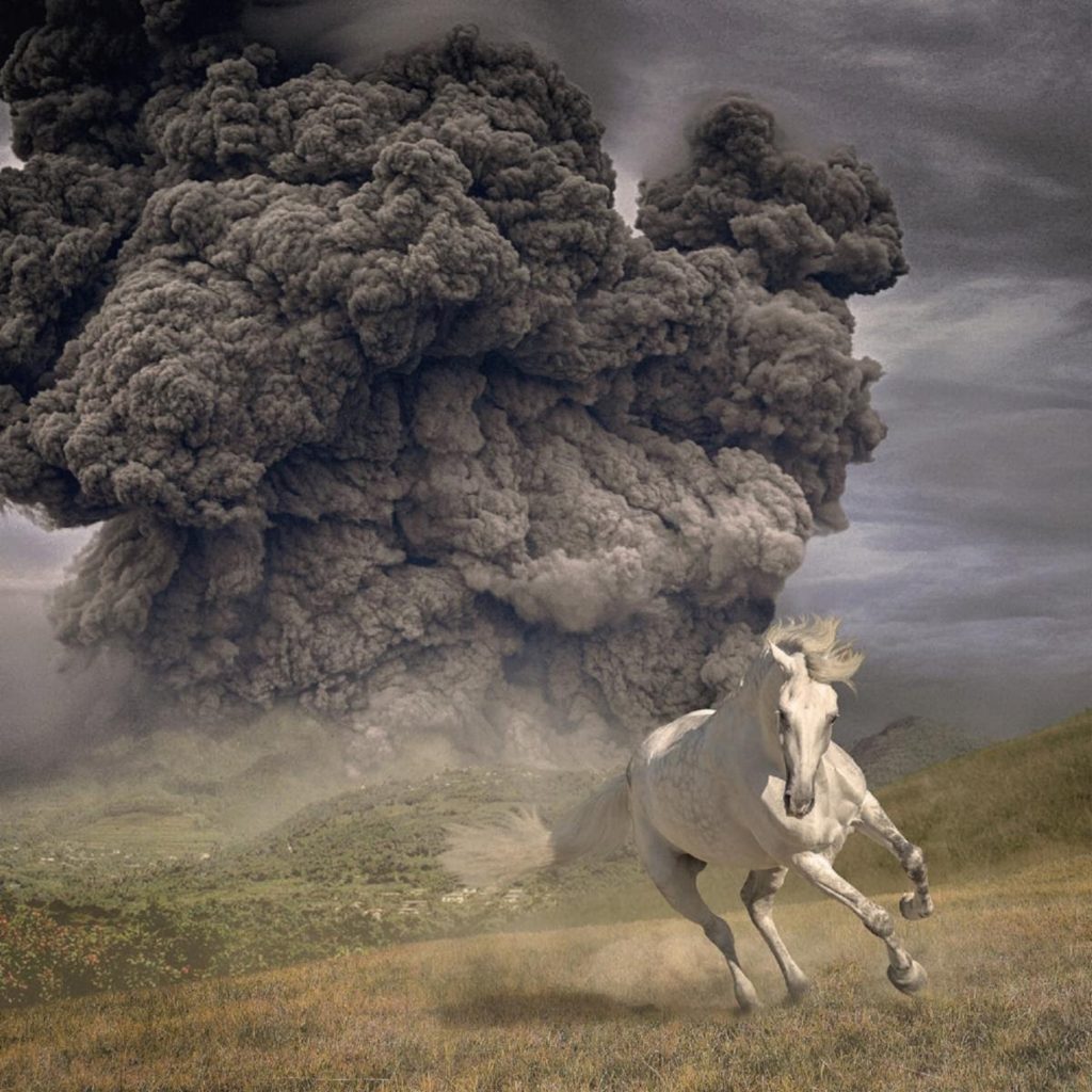 The White Buffalo: Acclaimed New Album 'Year of the Dark Horse' Receives Critical Praise Worldwide