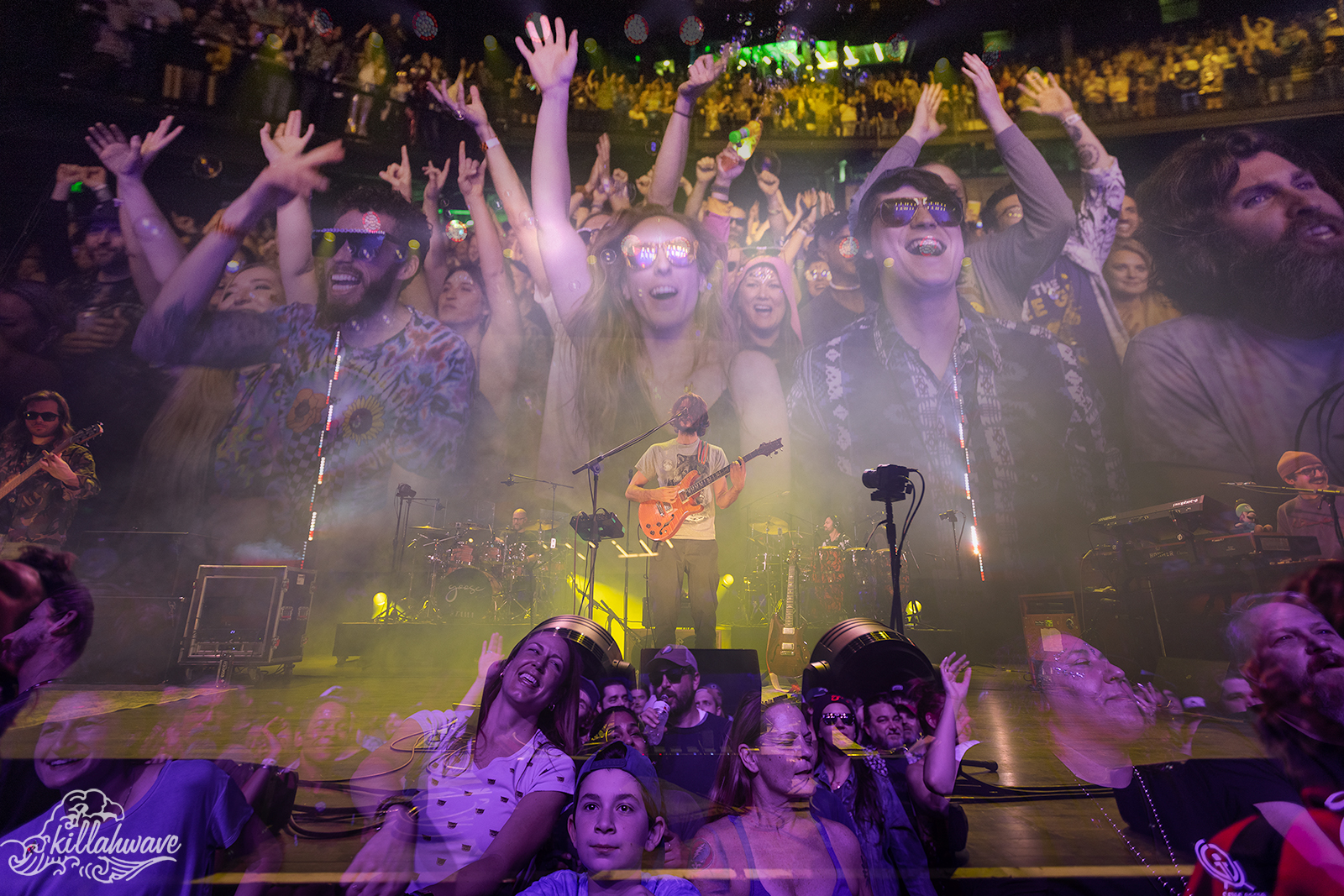 Goose | Andrew J Brady Center | 12/30/2022