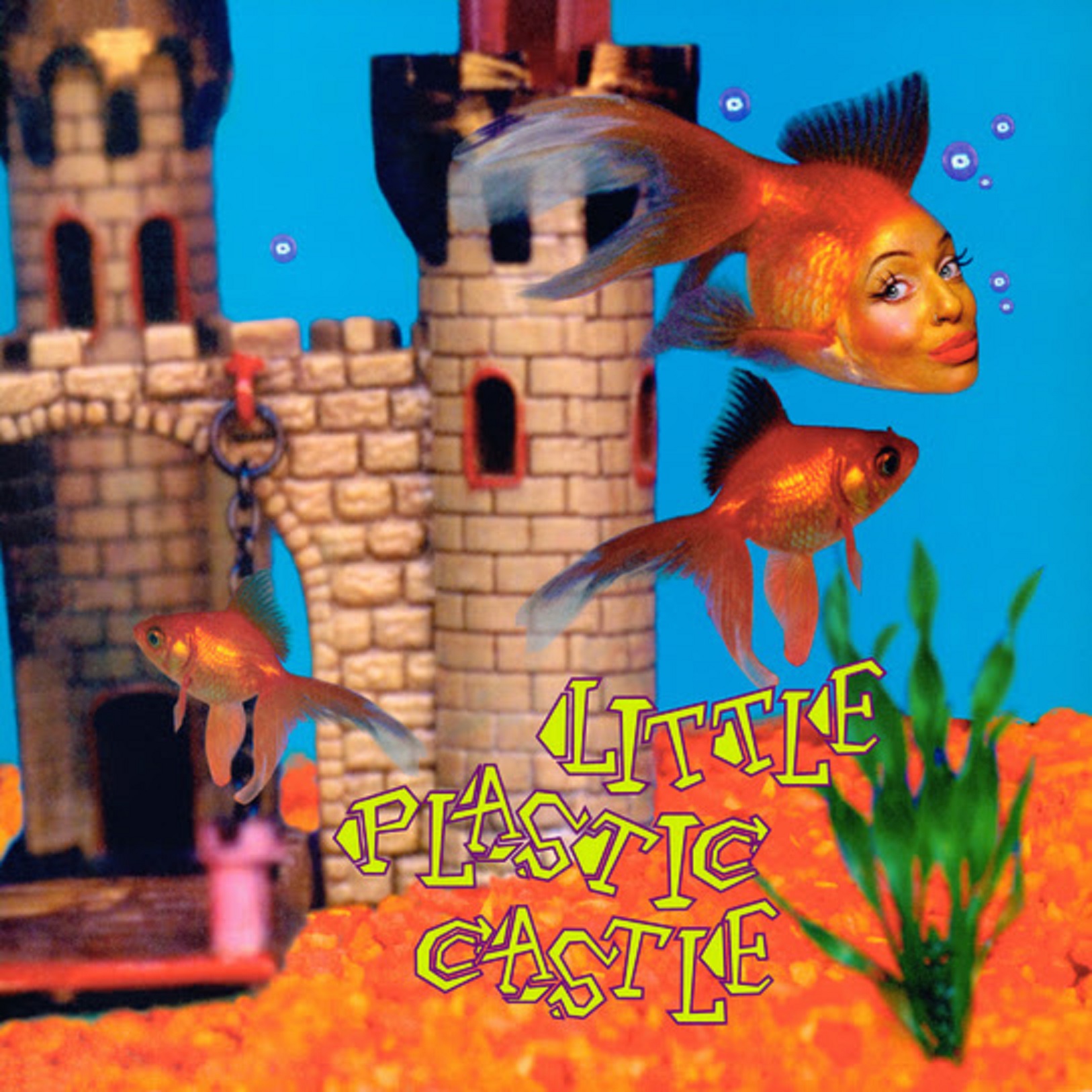 Ani DiFranco Commemorates Iconic Album LITTLE PLASTIC CASTLE With Tune-Yards Remix of Title Track; Remastered 25th Anniversary Edition Out June 23