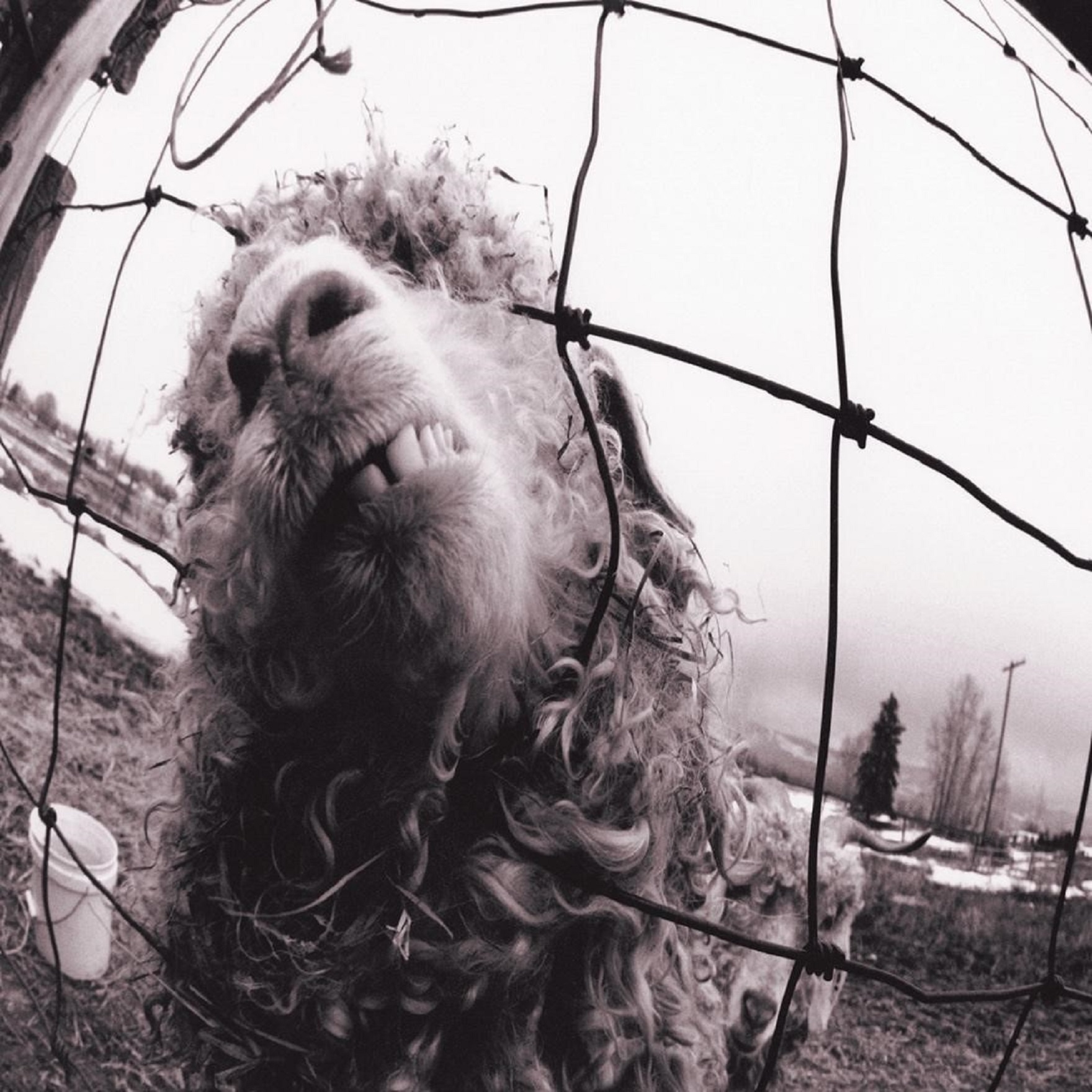 Pearl Jam and Legacy Recordings Celebrate 30th Anniversary of Vs. with New Spatial Audio Mix of Album