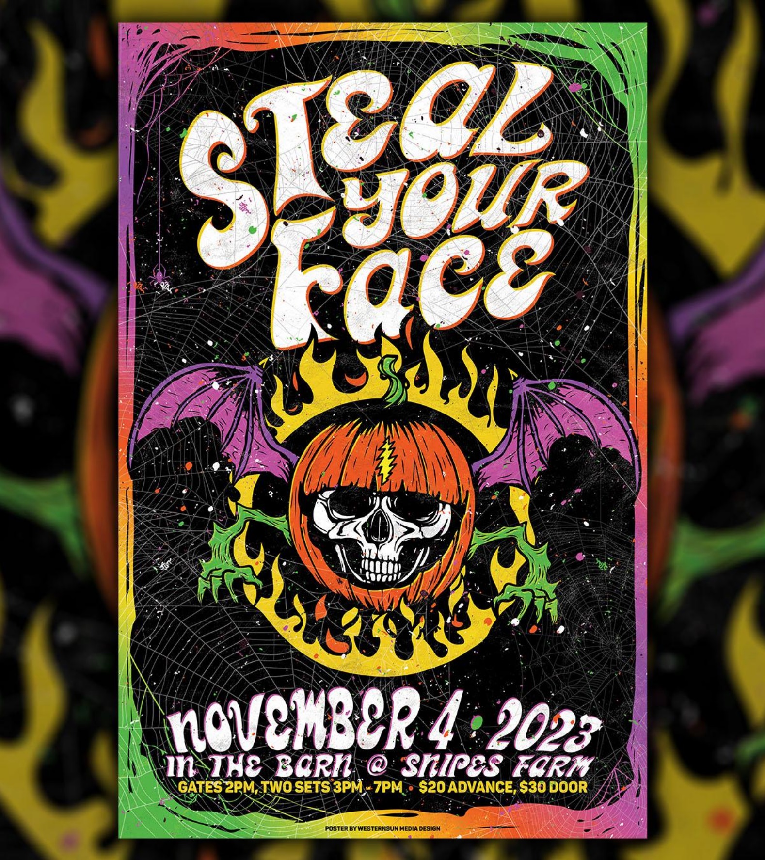 A Grateful Journey: 17 Years with Steal Your Face