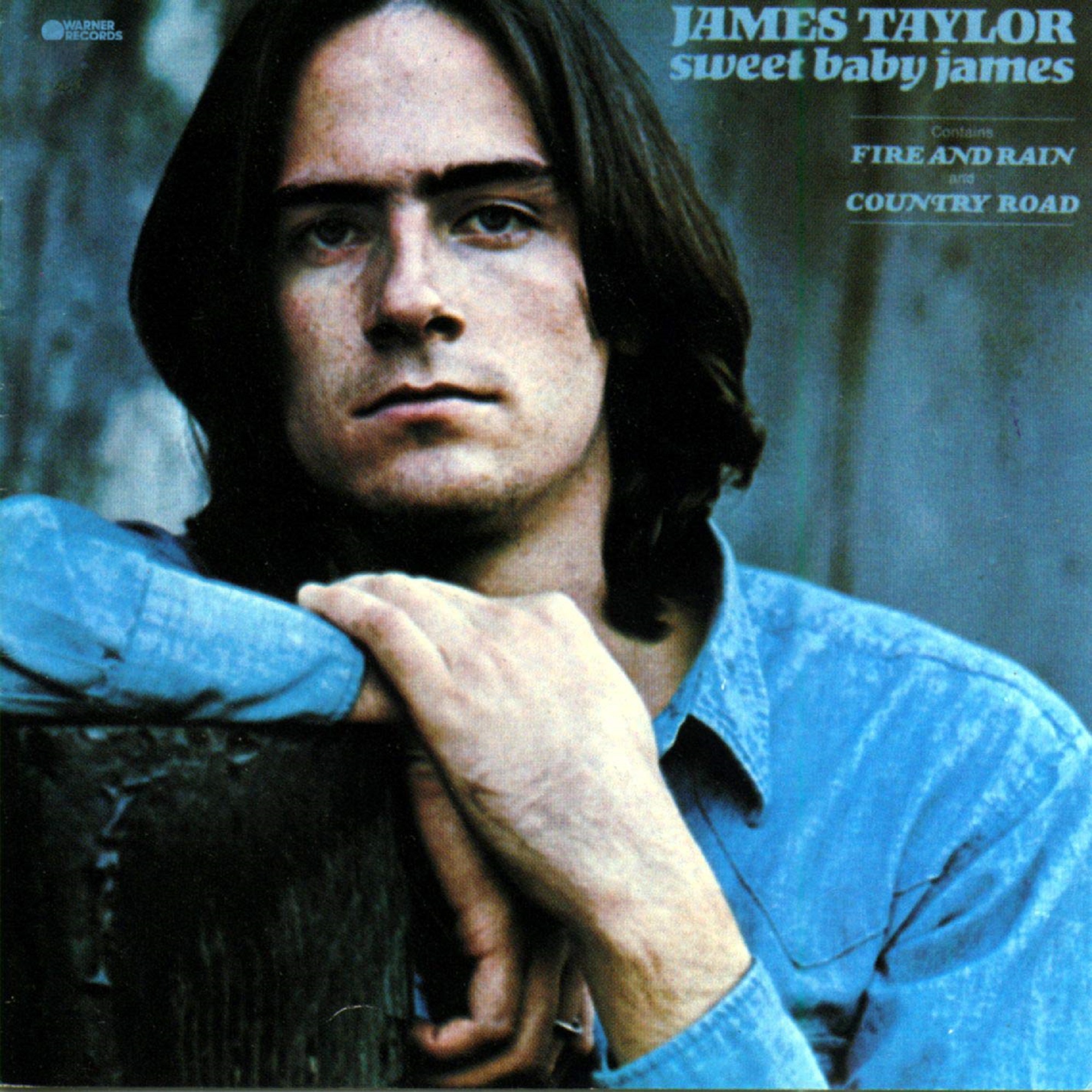 Sweet Baby James: A Tribute to an American Songsmith