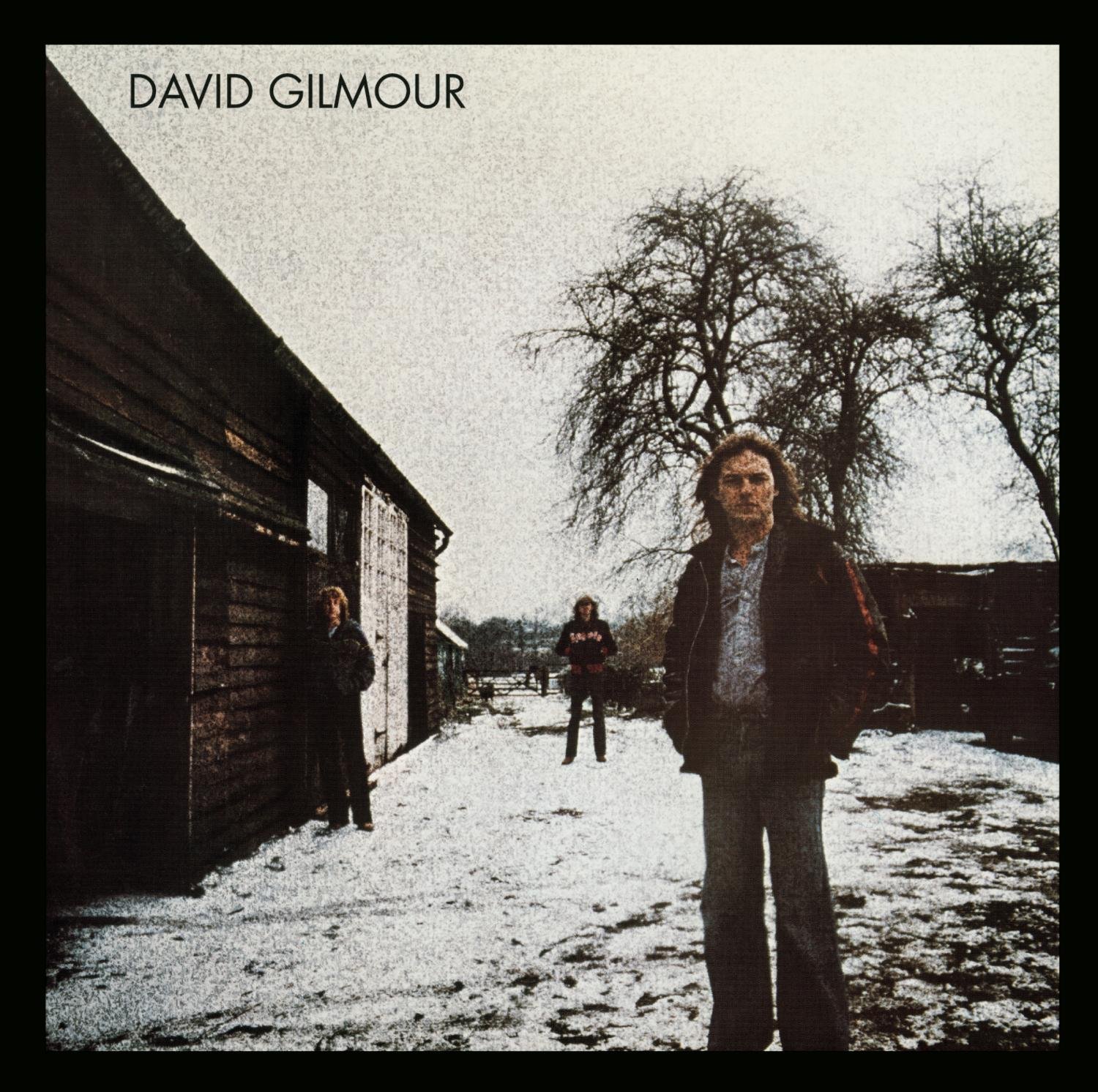 A Symphony of Light: David Gilmour's Unwavering Musical Beacon