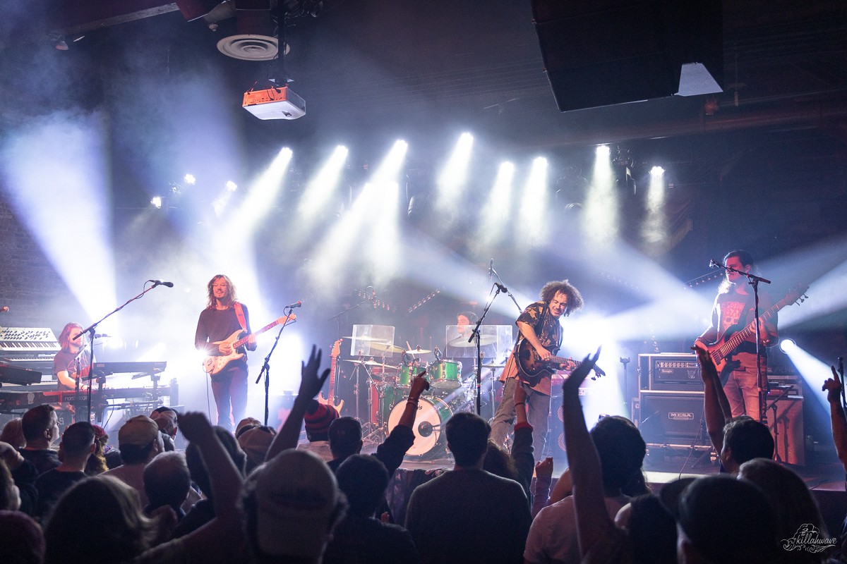 Dogs In A Pile | Brooklyn Bowl | 3/28/2025