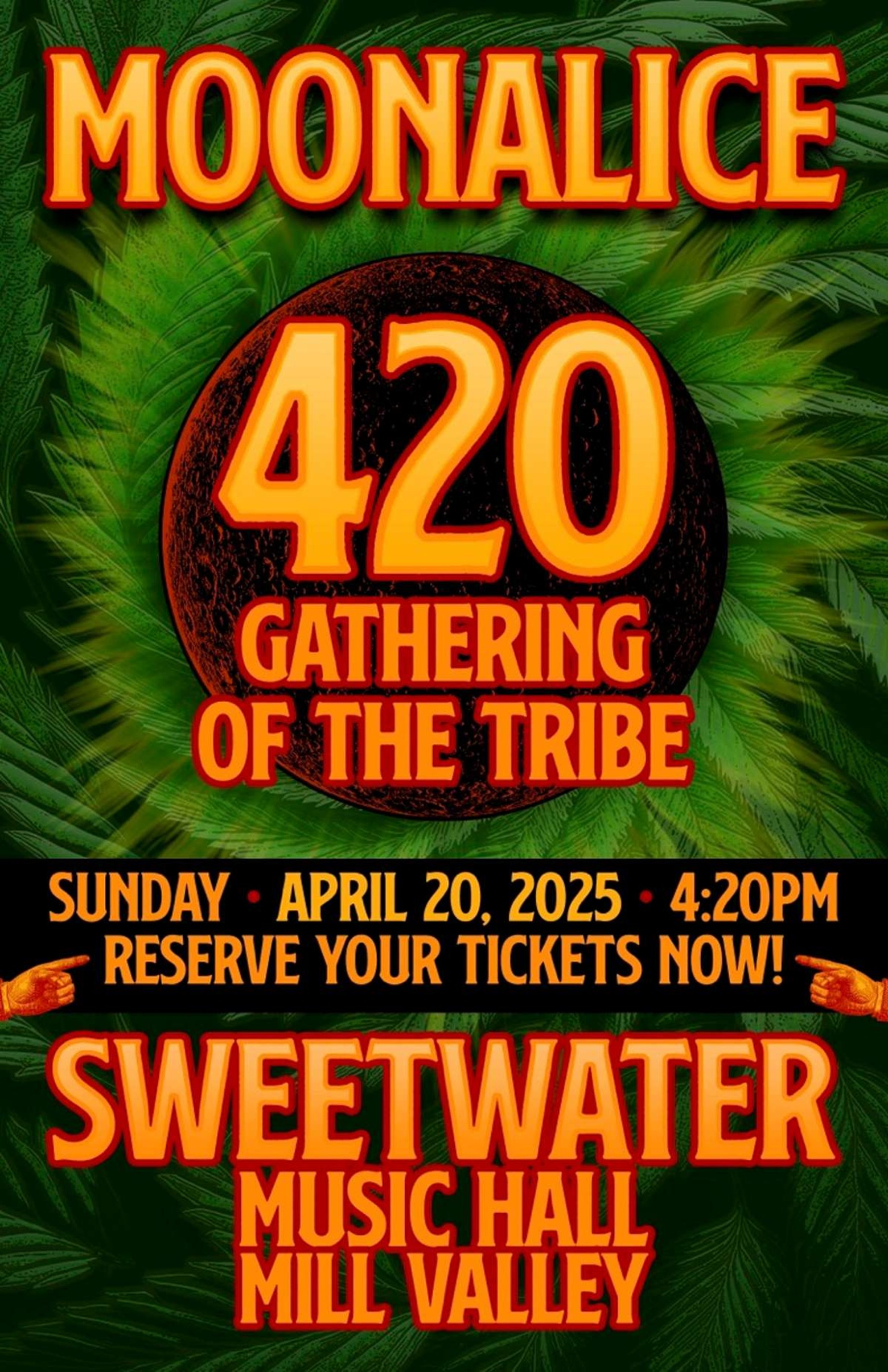 Elevate Your Sunday: Moonalice Brings the 4/20 Vibe to Sweetwater Music Hall