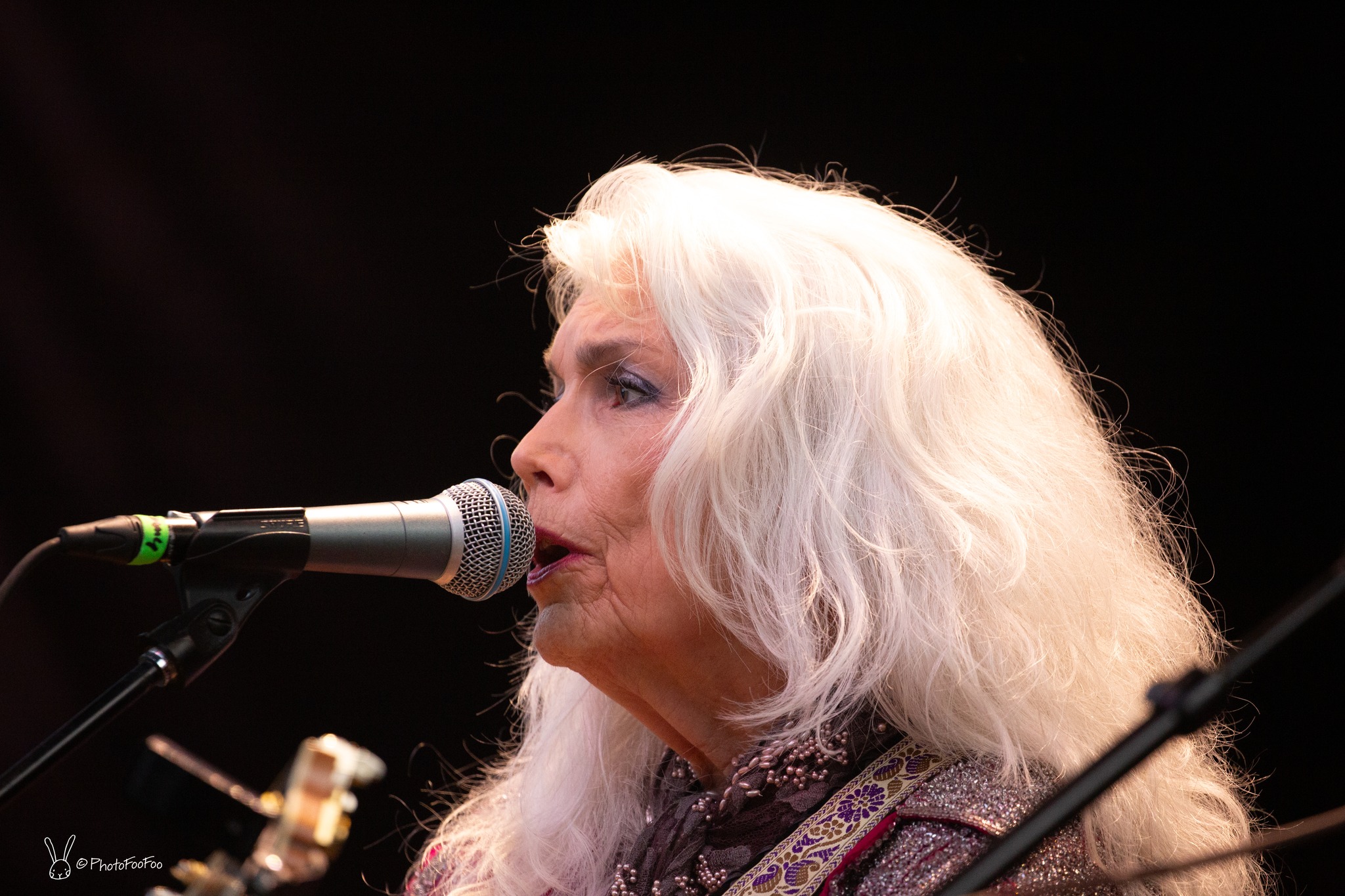 Emmylou Harris | Roosterwalk 2024