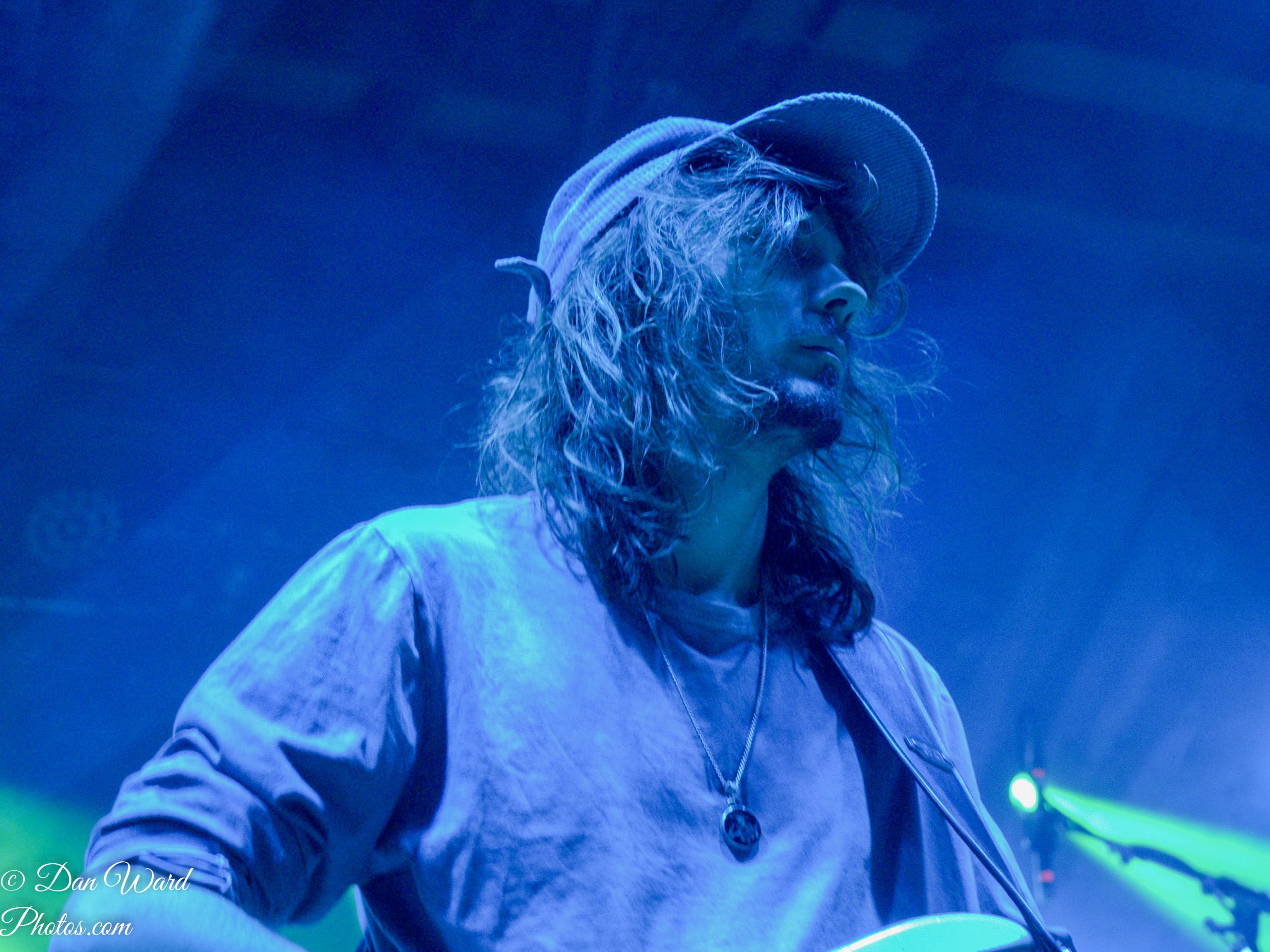Brian Murray | DIAP