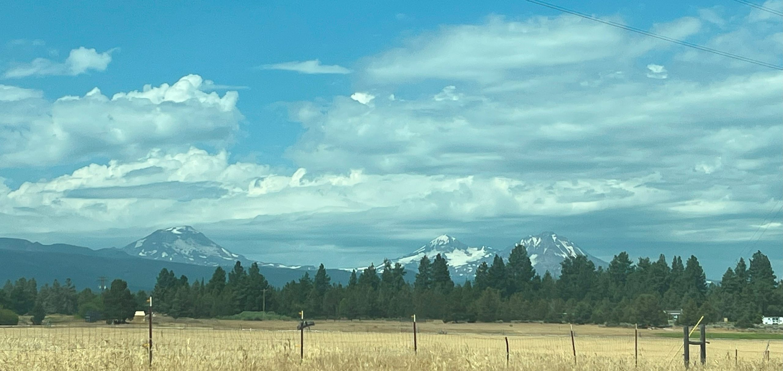 Beautiful Oregon! - photo by Maddy Crandall