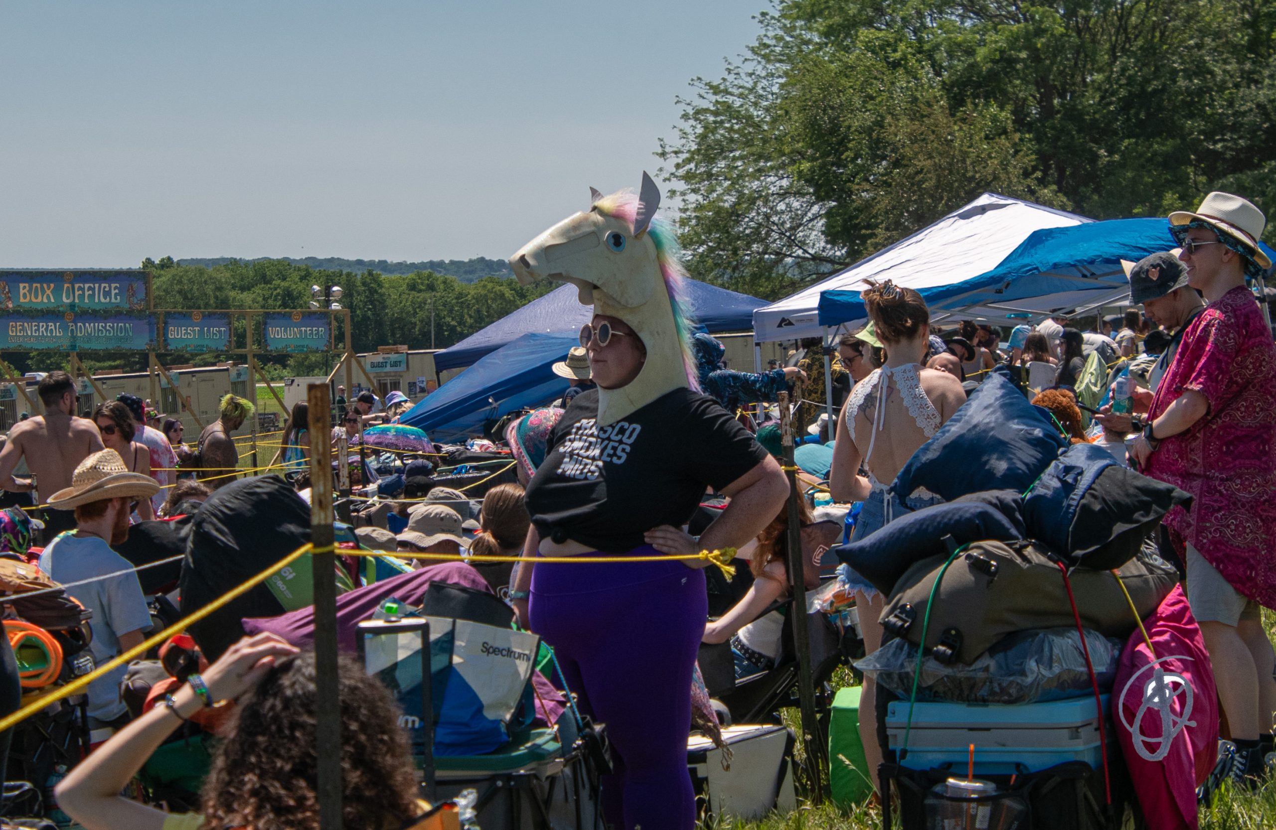 Just a Unicorn and her camping gear awaiting entry to Solshine Reverie