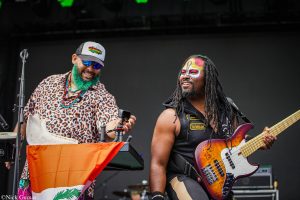 Grateful Web Interview with Sensory Tribe