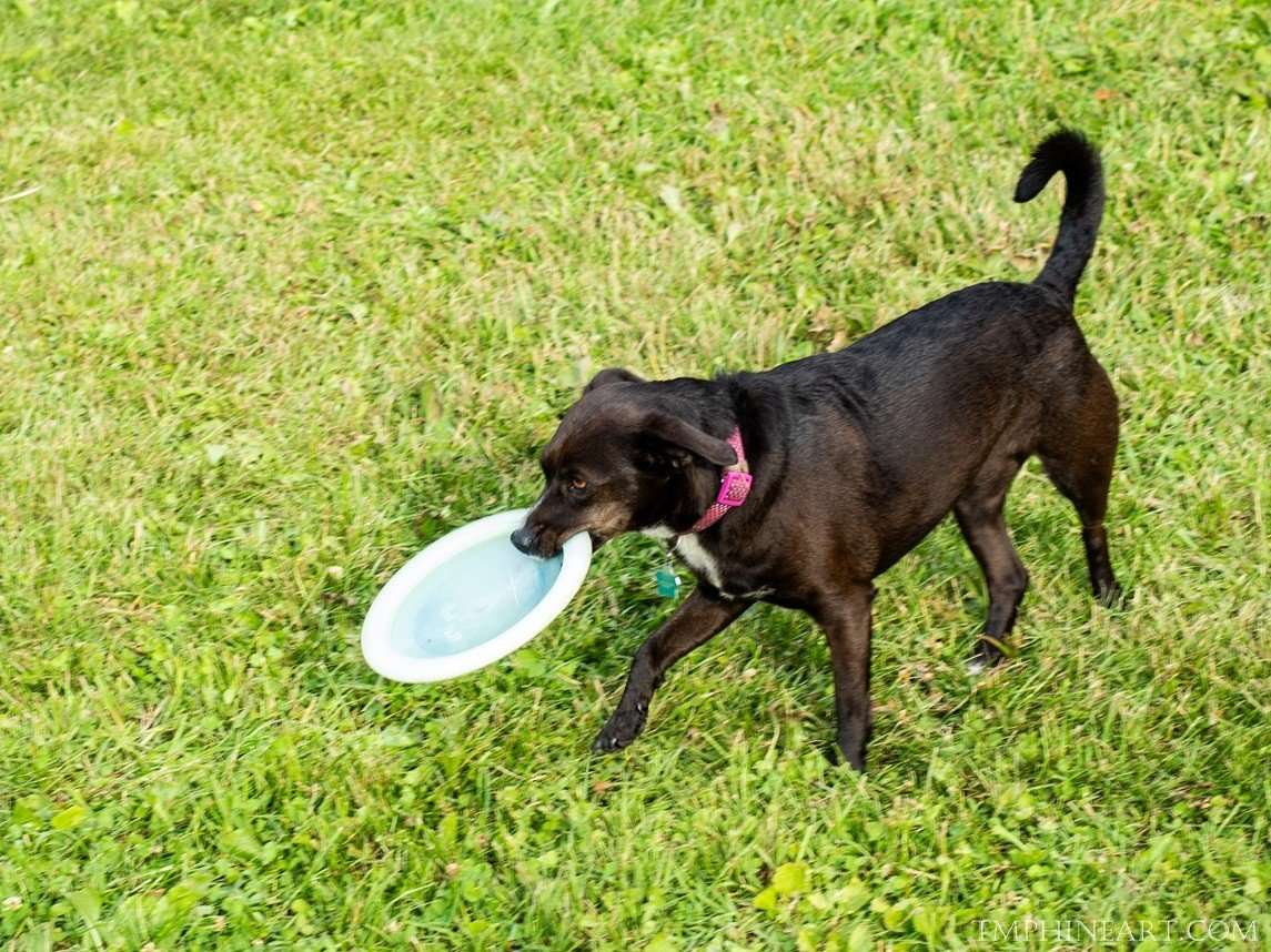 Highbridge Hills Disc Golf Jamboree