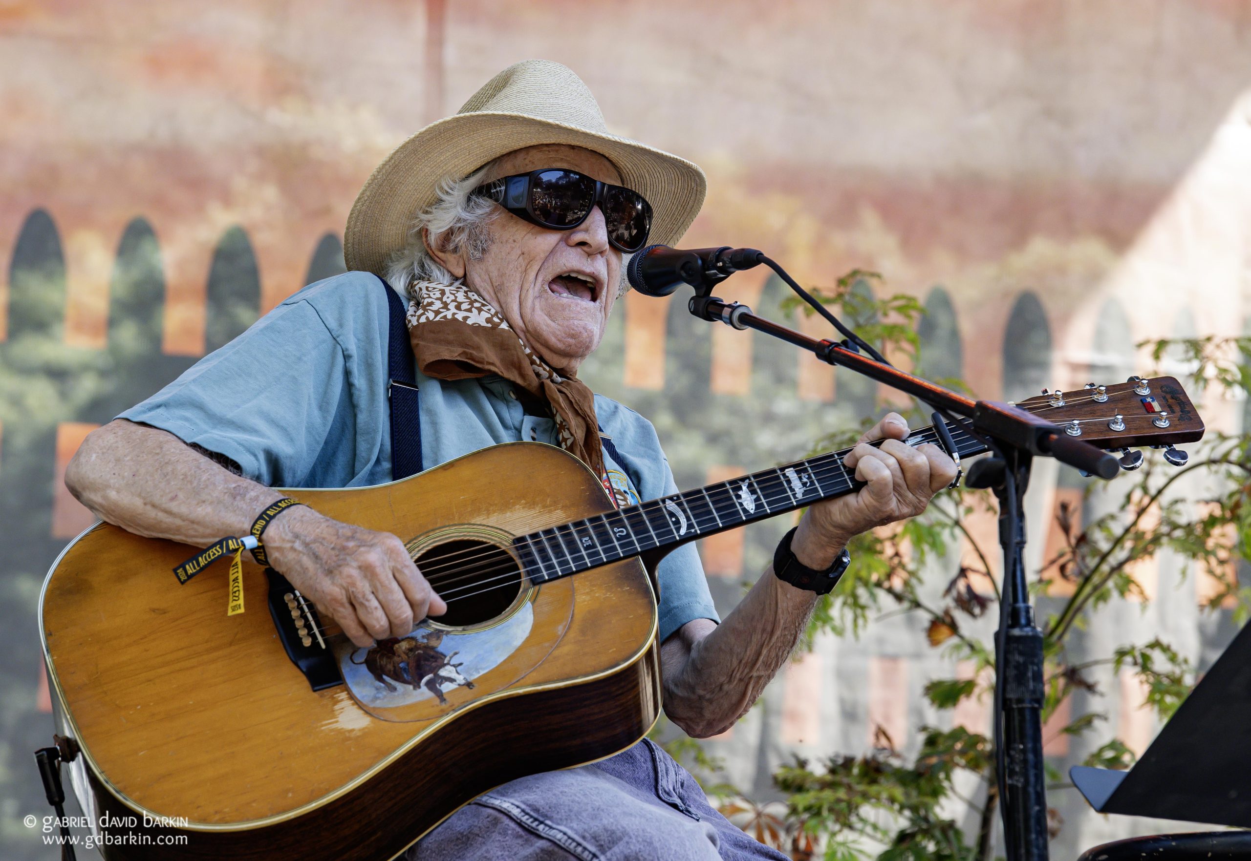 Ramblin' Jack Elliott
