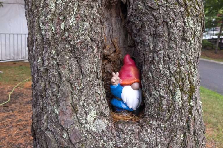 This gnome greets guests by The Charlie Gate | SPAC